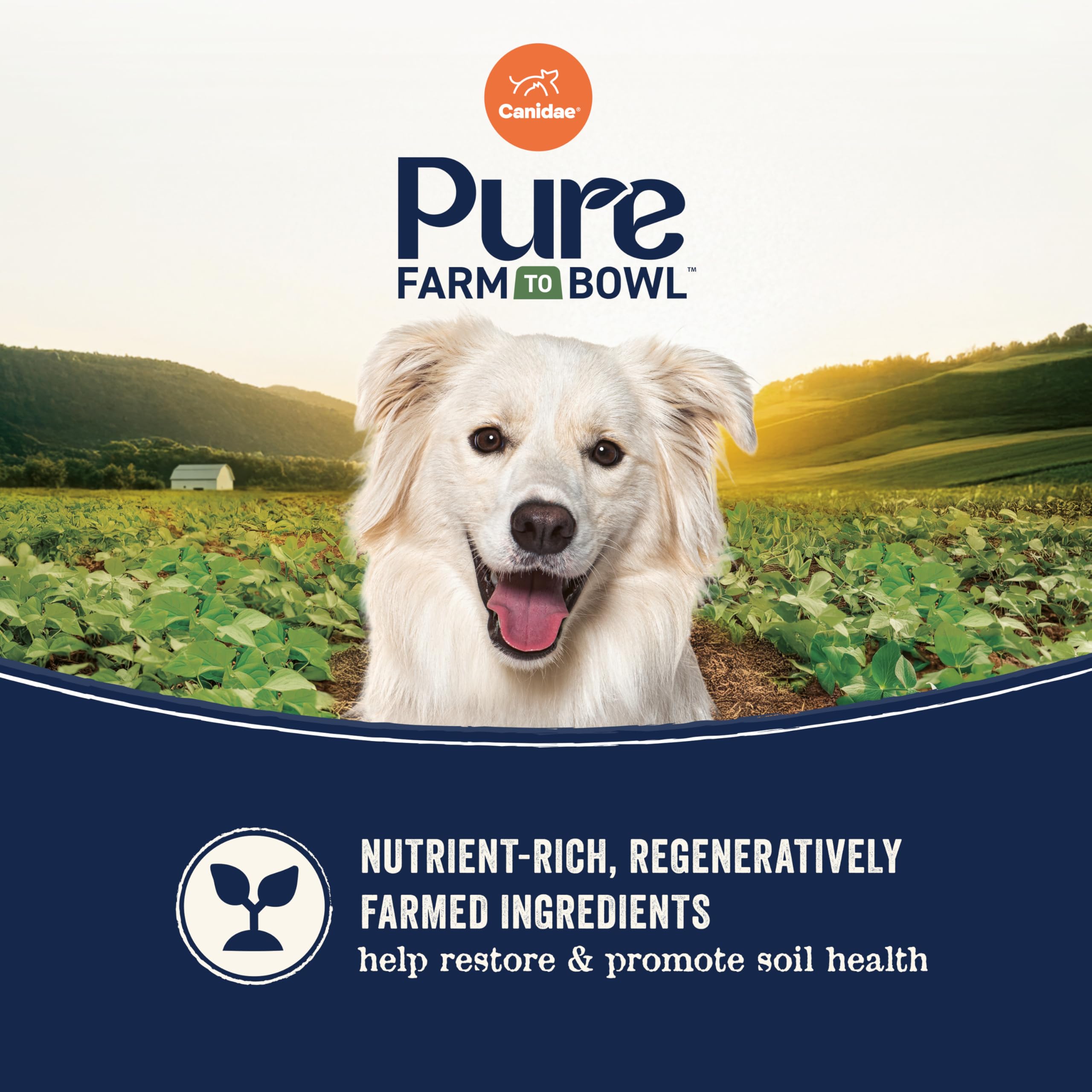 Canidae Pure Limited Ingredient Premium Adult Dry Dog Food, Real Bison, Lentil & Carrot Recipe, 10 lbs, Grain Free