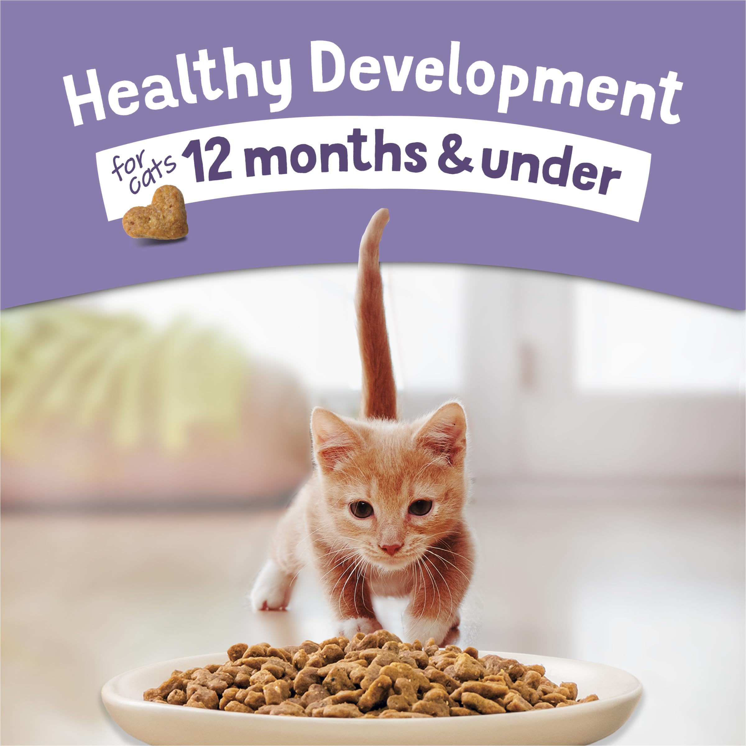 Purina Kitten Chow Kitten Food Healthy Development with Real Chicken Dry Kitten Food - (Pack of 4) 3.15 Lb. Bags