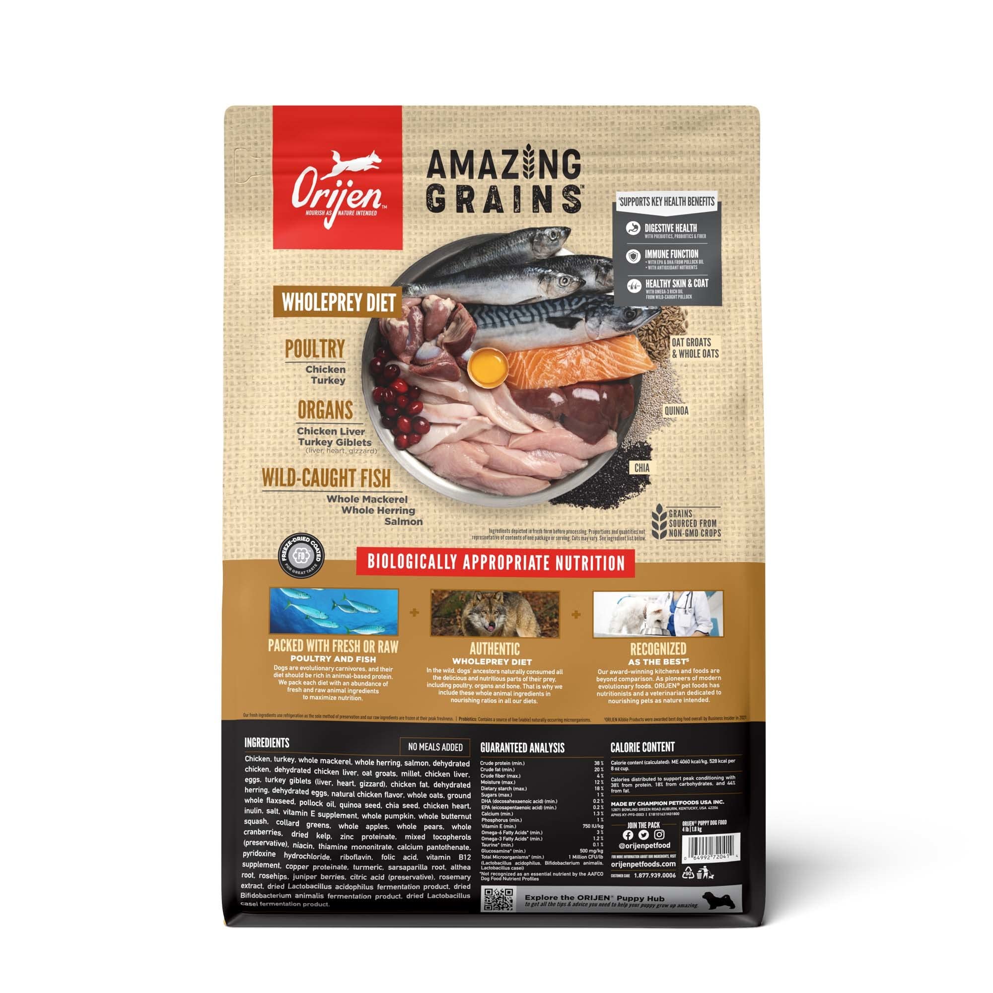 ORIJEN Amazing Grains Puppy Dry Dog Food, High Protein Dog Food for Puppies, Fresh or Raw Ingredients, 4lb
