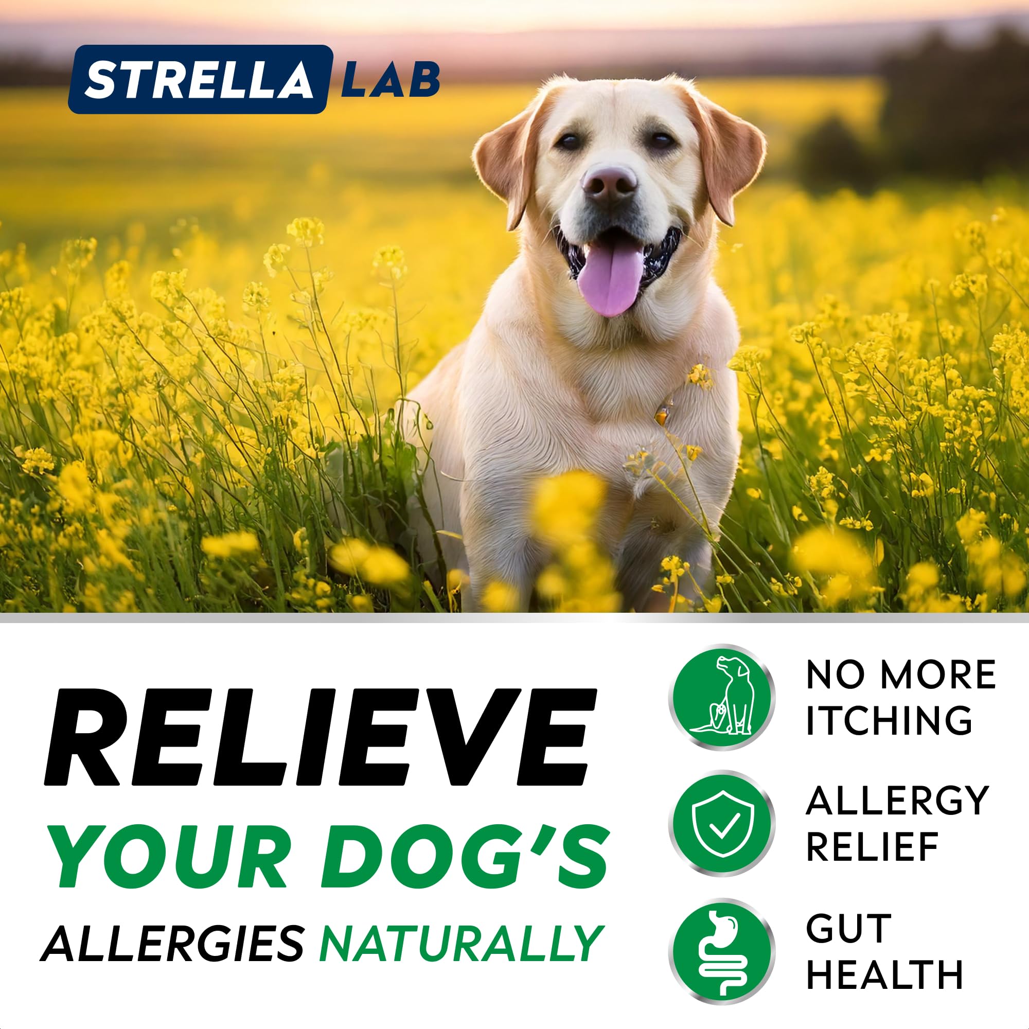 StrellaLab Dog Allergy Relief & Anti Itch Support Chews w/Omega 3: Real Ingredients, Real Taste! Skin & Coat Immune Supplement w