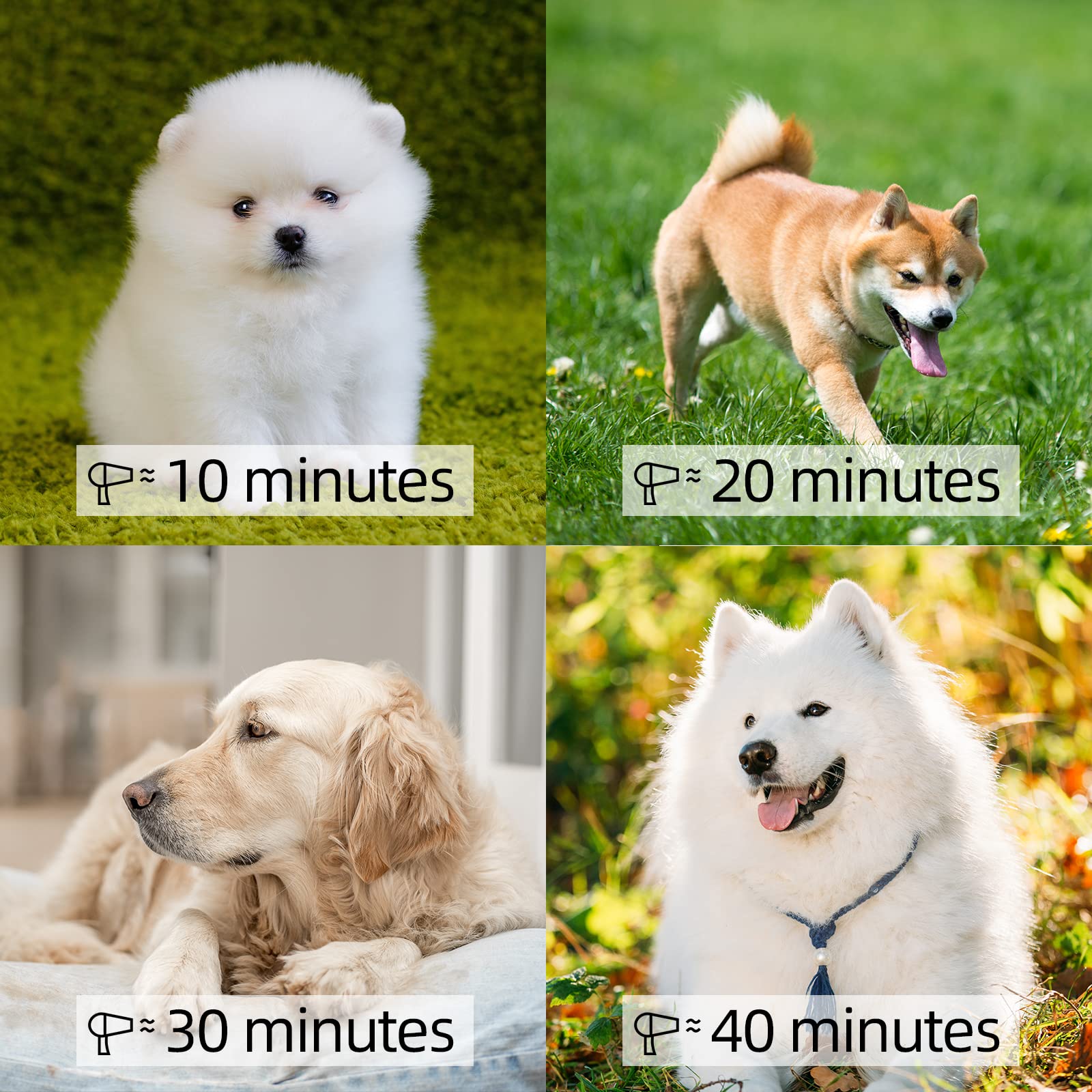 Shernbao High Velocity Professional Dog Pet Grooming Hair Drying Force Dryer Blower 4.5Hp (Pbd-701H)