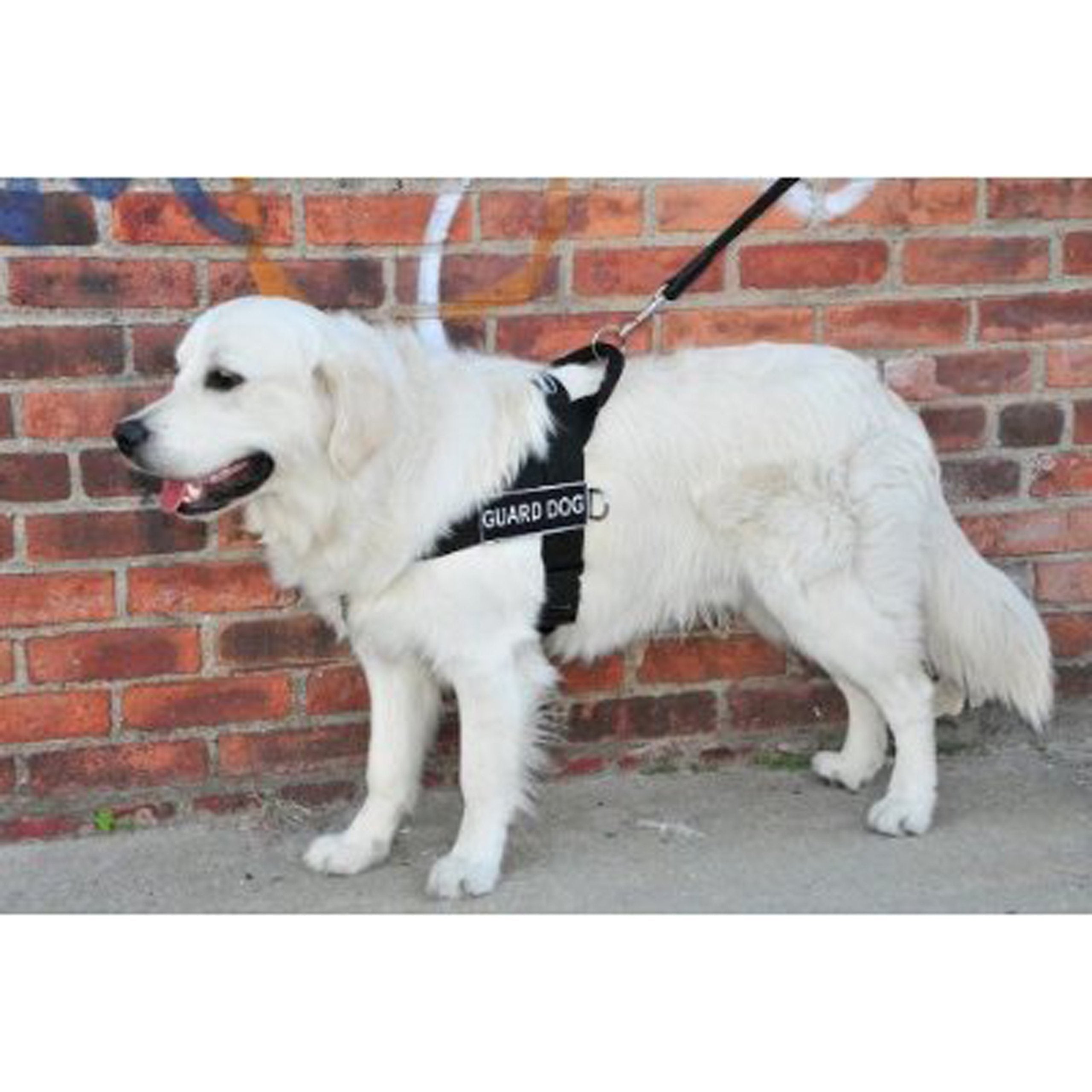DT Universal No Pull Dog Harness, Guard Dog, Black, Large, Fits Girth Size: 31-Inch to 42-Inch
