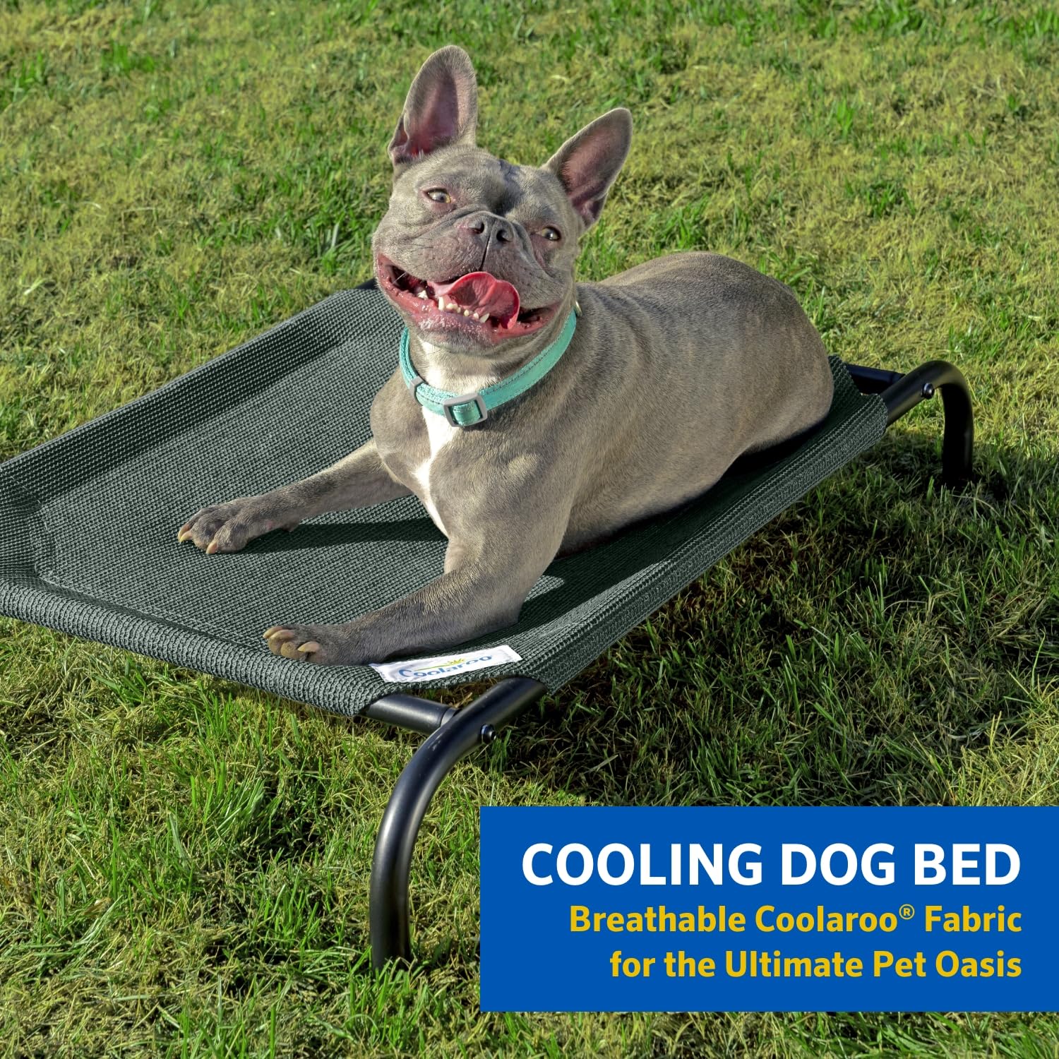 Coolaroo The Original Cooling Elevated Dog Bed, Indoor And Outdoor, Medium, Nutmeg