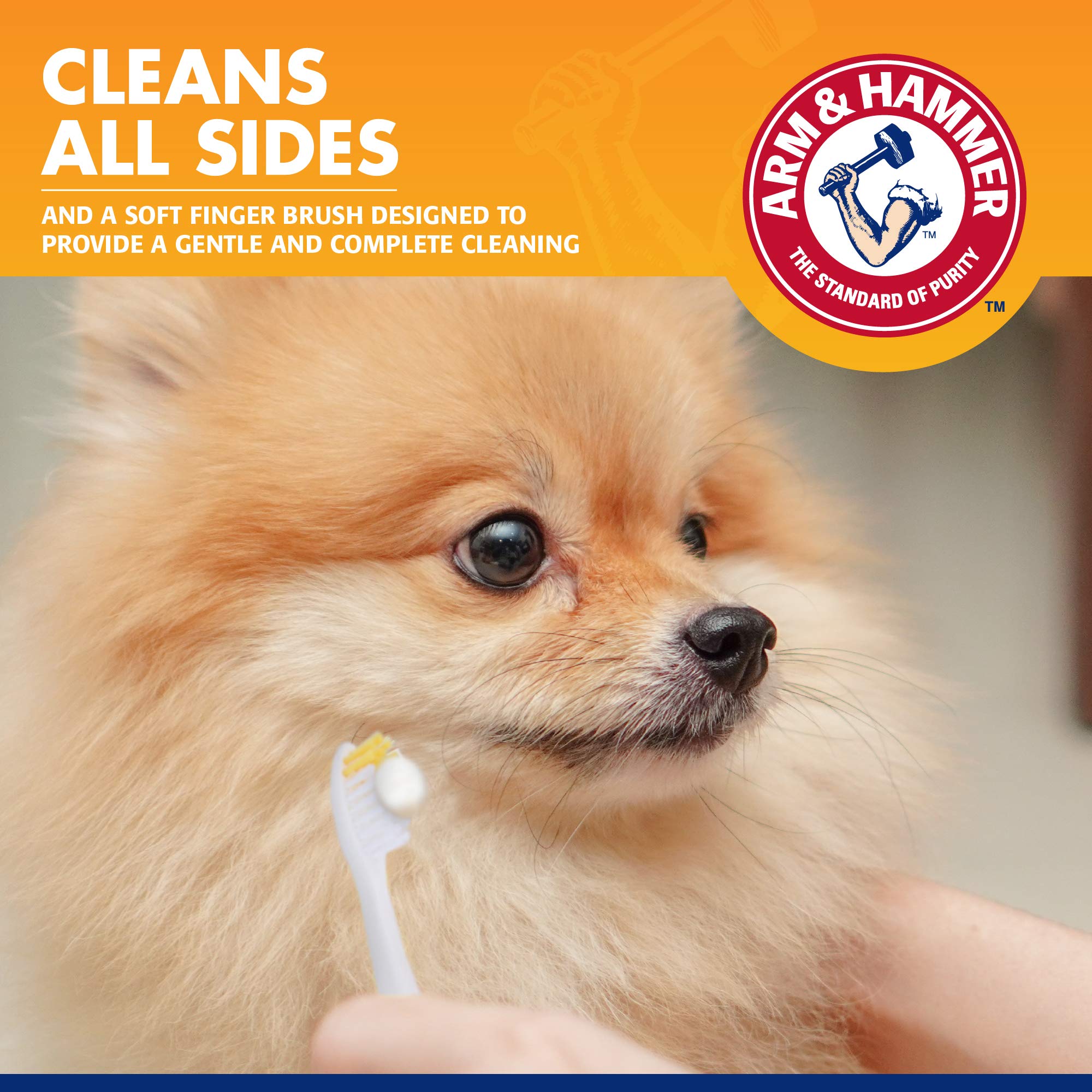 Arm & Hammer for Pets Clinical Care Travel Dental Kit for Dogs in Vanilla Ginger Flavor | Dog Toothbrush and Toothpaste Set Safe