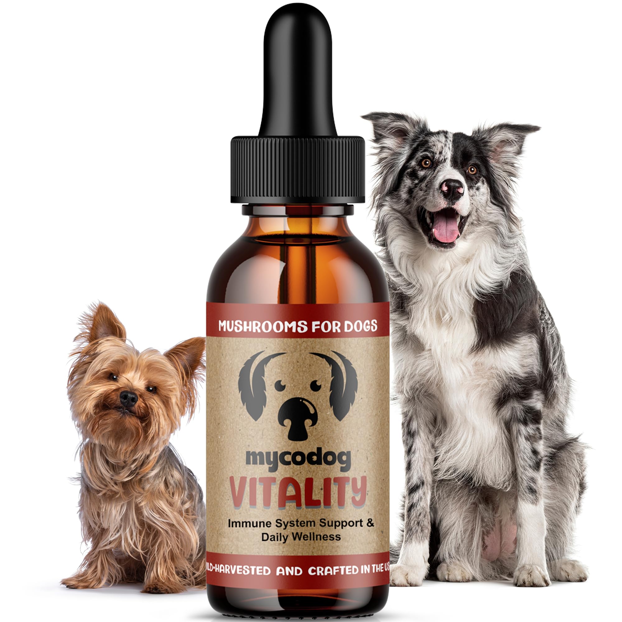MycoDog Vitality - 20-in-1 Mushroom & Adaptogen Supplement for Dogs - Immune Health, Senior Dog, & Daily Wellness Support - Turk