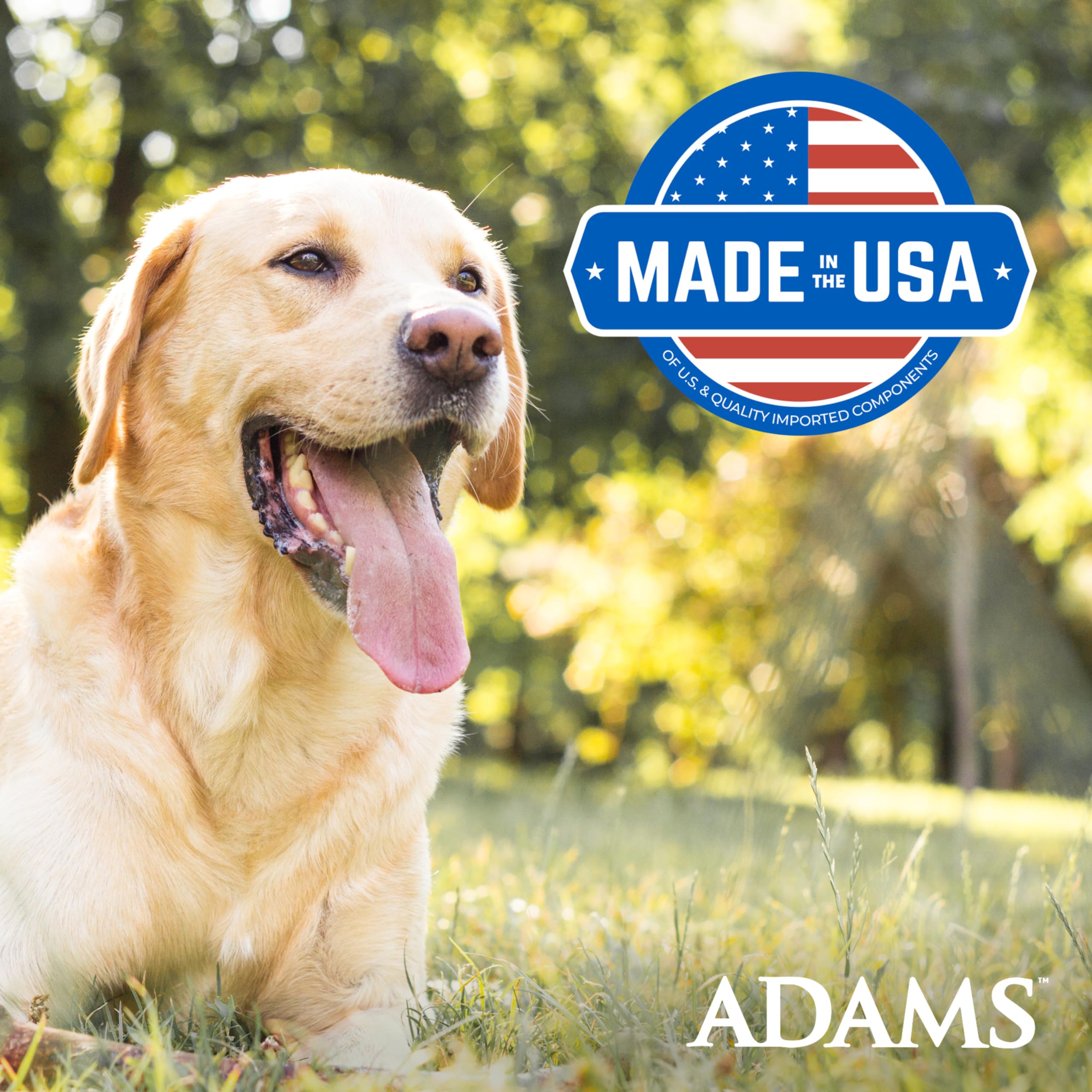 Adams Plus Flea & Tick Foaming Shampoo & Wash for Cats & Kittens Over 12 Weeks | Sensitive Skin Flea Treatment for Cats and Kitt