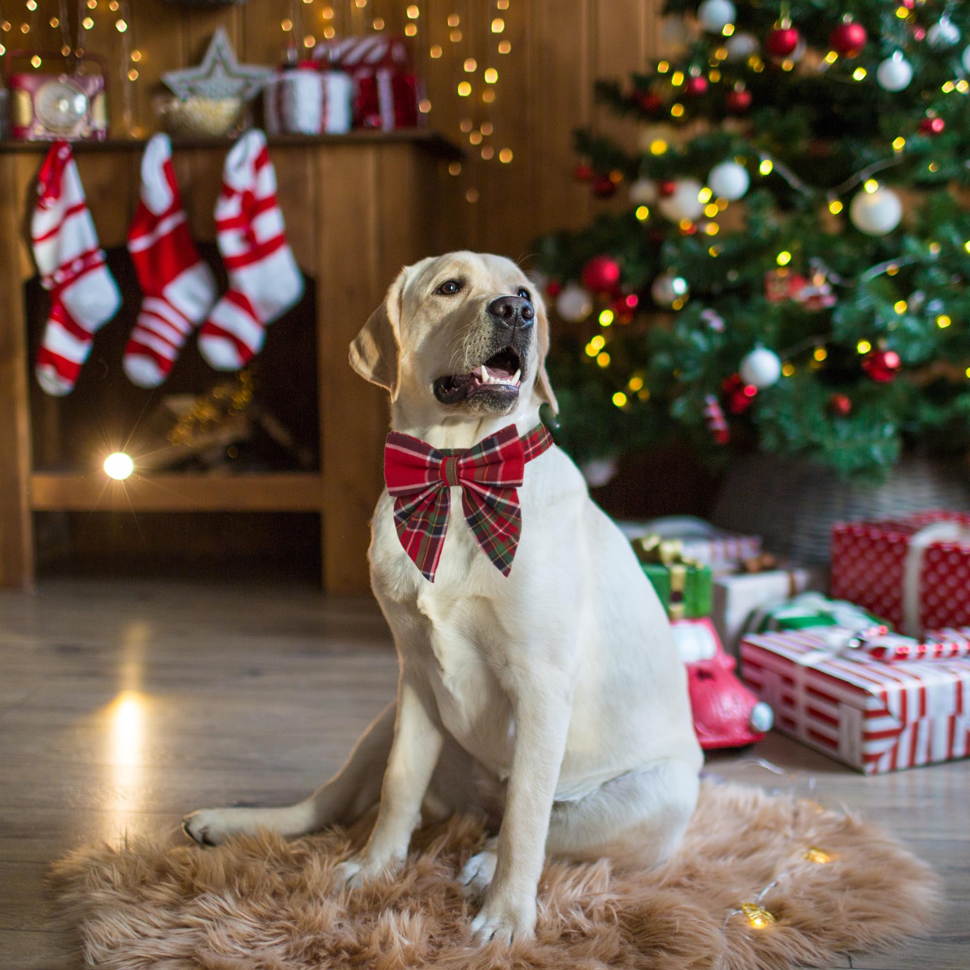 Adoggygo Christmas Dog Collar With Bow, Adjustable Cotton Red Green Plaid Bowtie Dog Christmas Collars For Small Medium Large Dogs Pets (Large, Xmas)