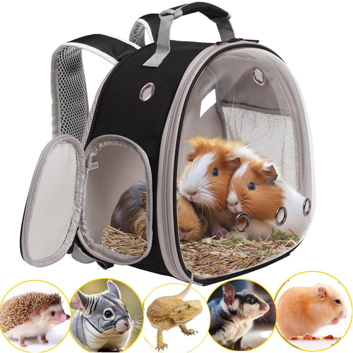 Guinea Pig Backpack Carrier, Bearded Dragon Carrier Backpack With Clear Bubble Window,Small Animal Travel Backpack For Hedgehog Rat Parrot,Rabbit,Sugar Glider,Airline Approved(Black, Backpack)