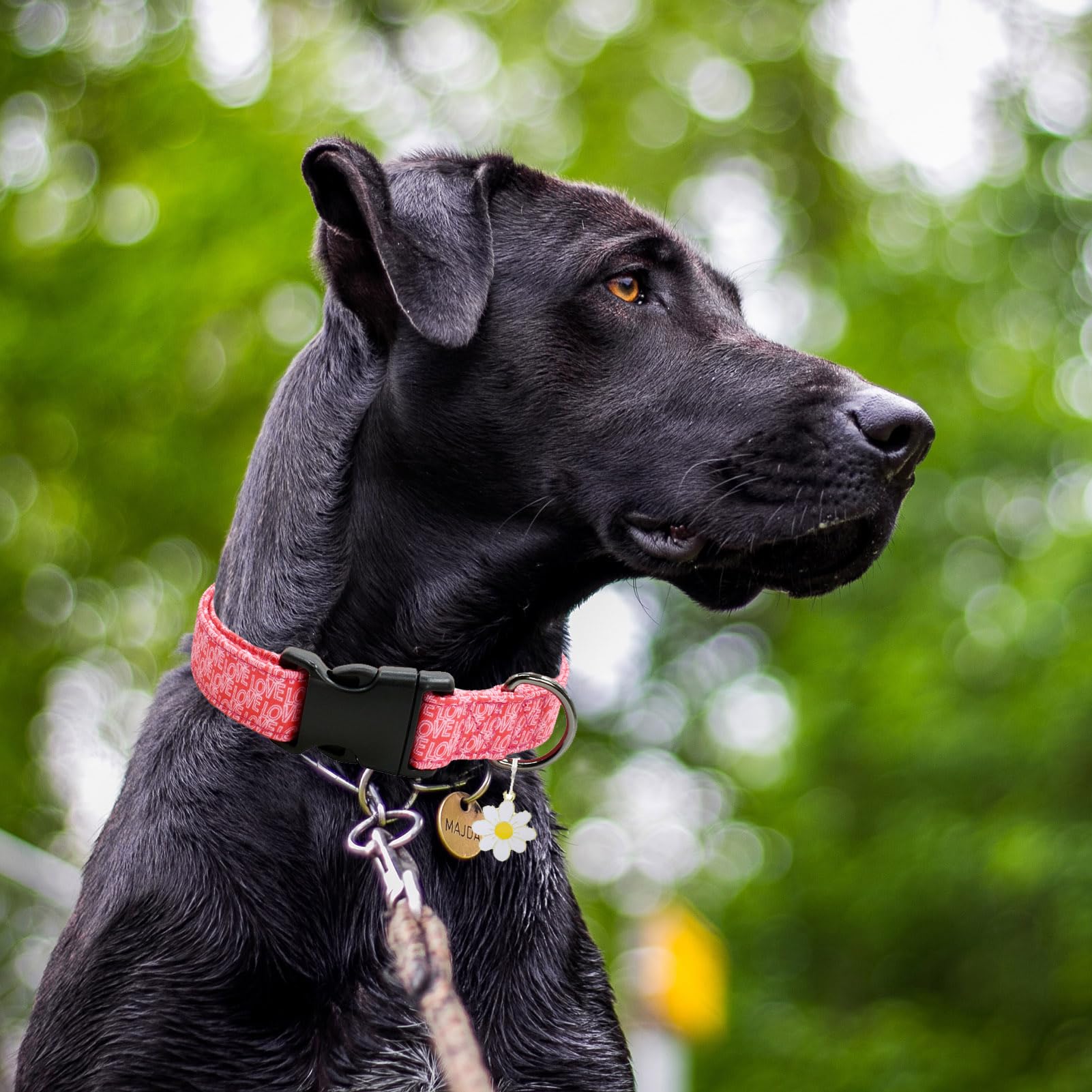 2 Pcs Cotton Dog Collar Soft Cute Flower -3 Sizes Soft Nylon Puppy Collar Adjustable For Girl Female Small Medium Large Dogs(01M