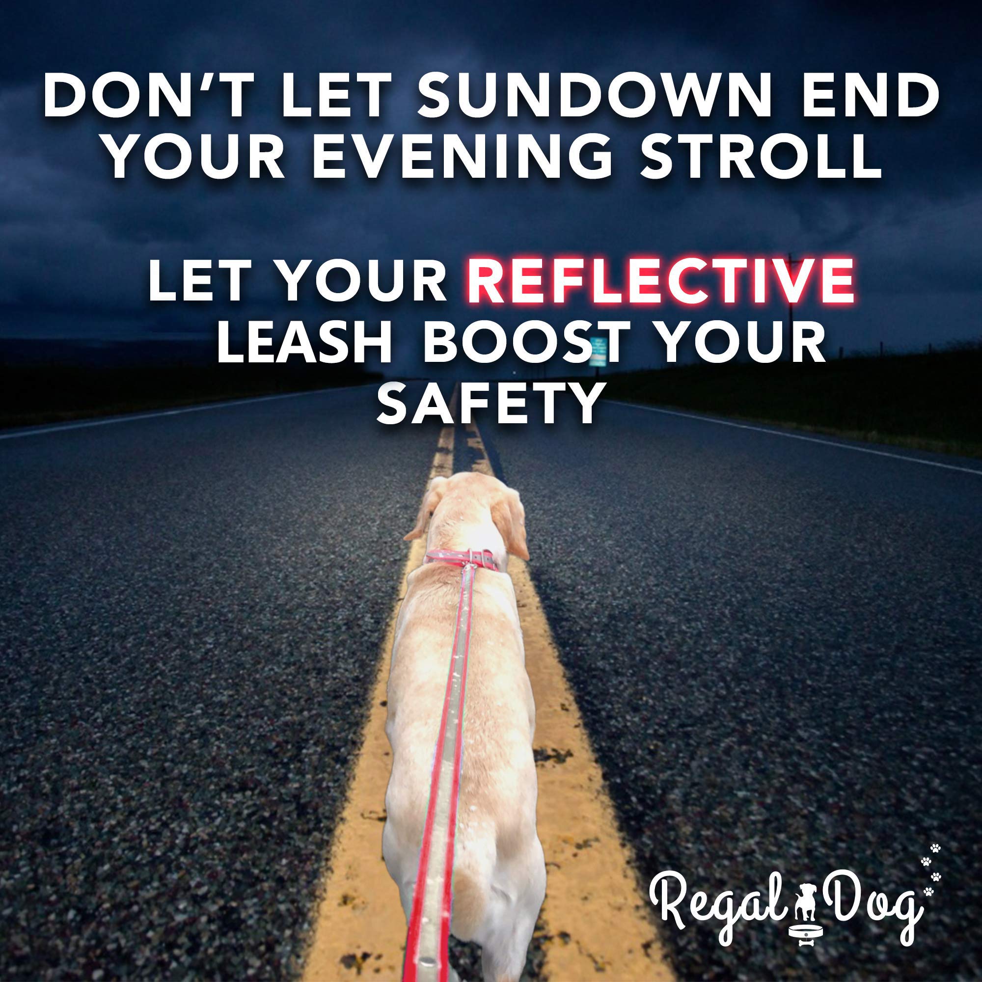 Regal Dog Products Reflective Leash – 5 Ft. Dog Leash With Easy To Use Collar Hook, Lightweight, And Proof Training Pet Lead For Small, Medium, Large, Or Xl Dogs (Black)