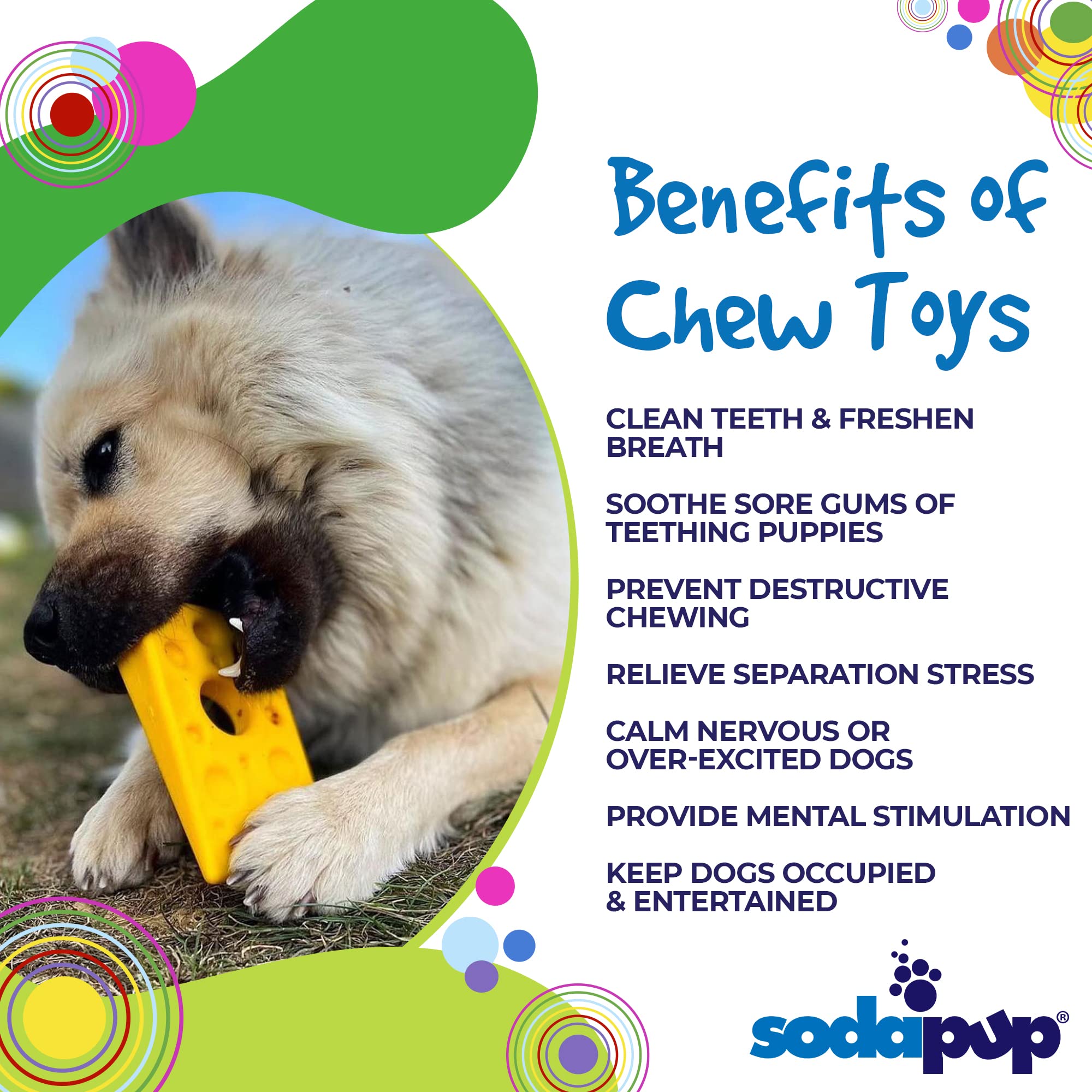 SP Swiss Cheese Wedge Durable Nylon Dog Chew Toy for Aggressive Chewers