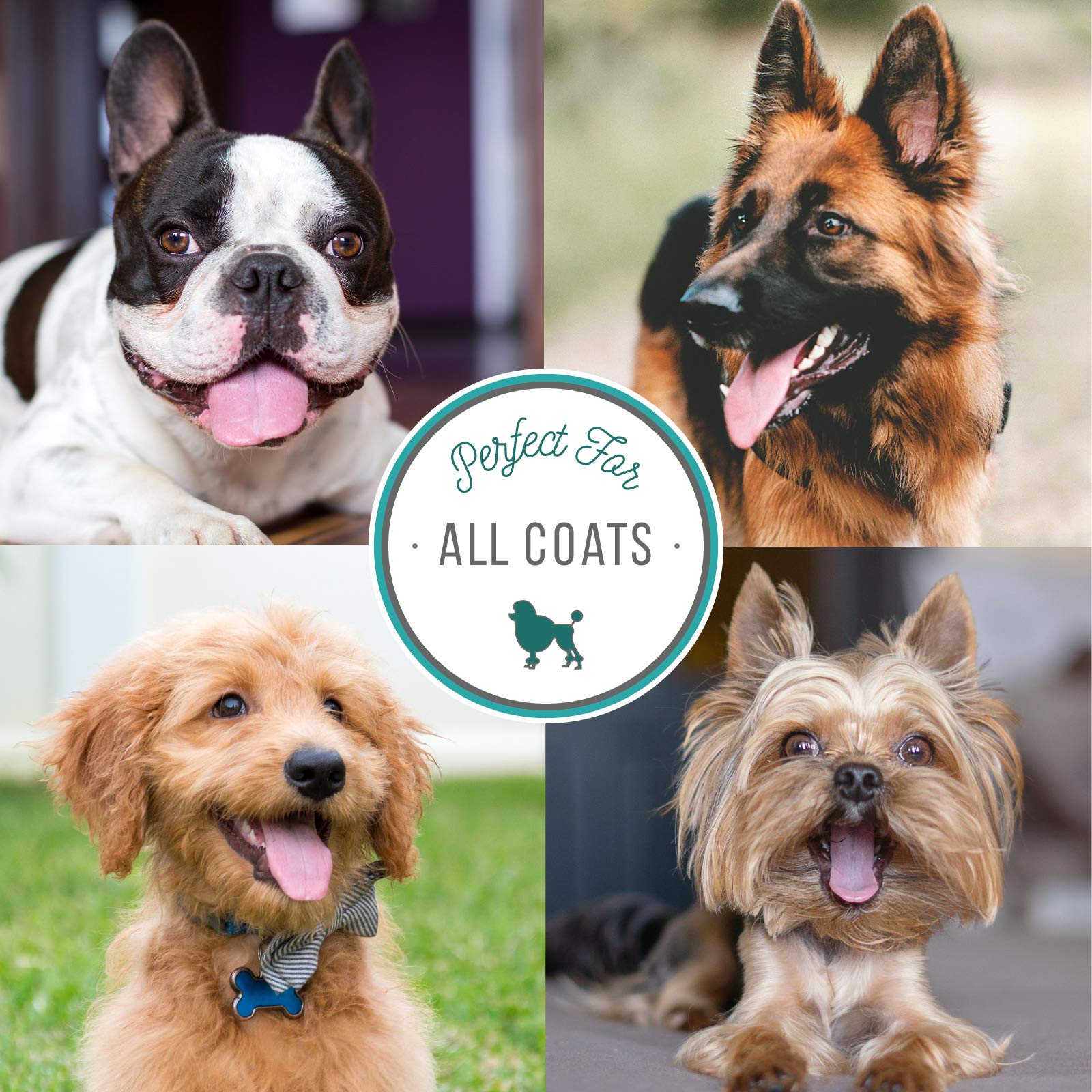 Nature'S Specialties Re-Moisturizer With Aloe Dog Conditioner For Pets, Natural Choice For Professional Groomers, Rejuvenates Sk