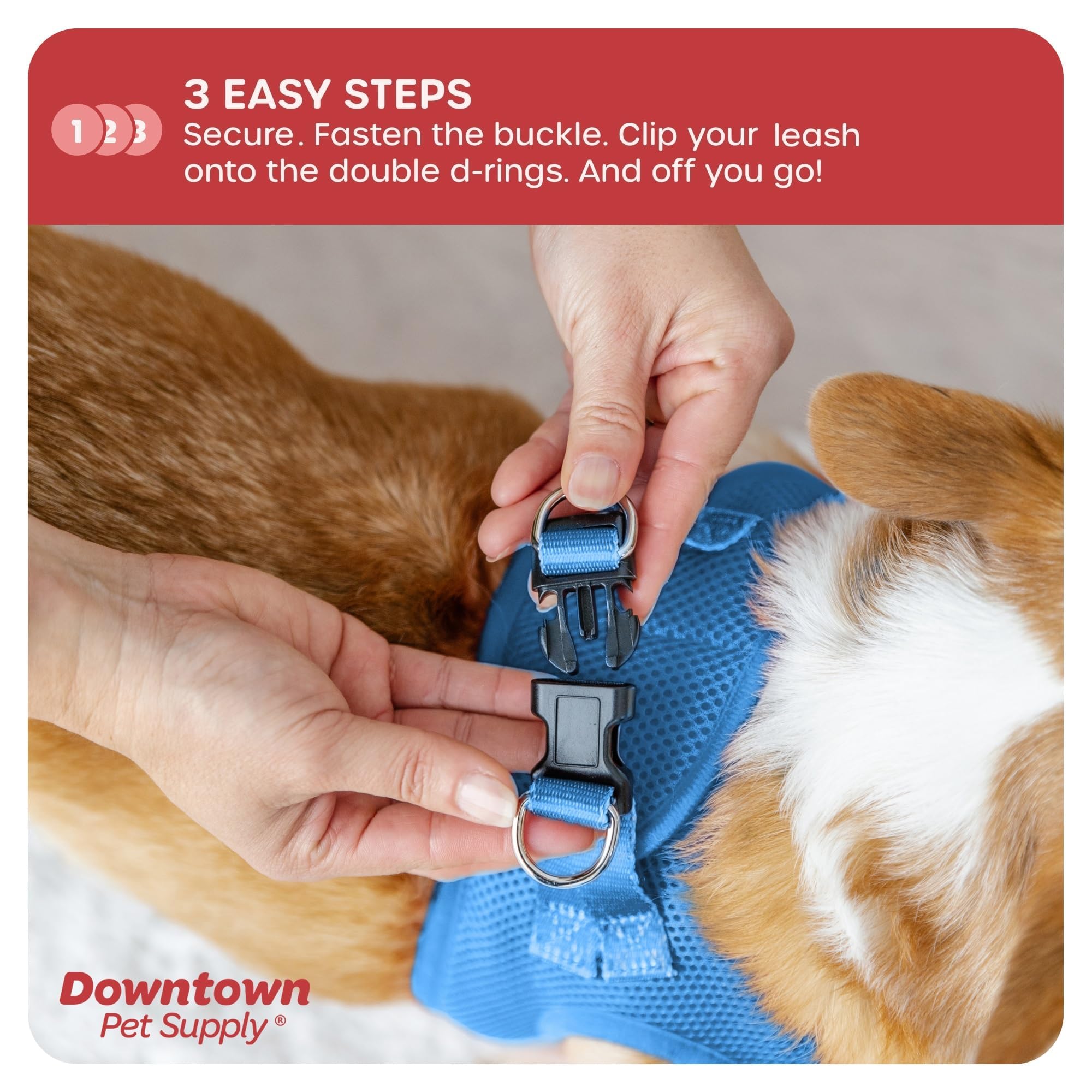 Downtown Pet Supply Step In Dog Harness For Small Dogs No Pull, Small, Cobalt - Adjustable Harness With Padded Mesh Fabric And R
