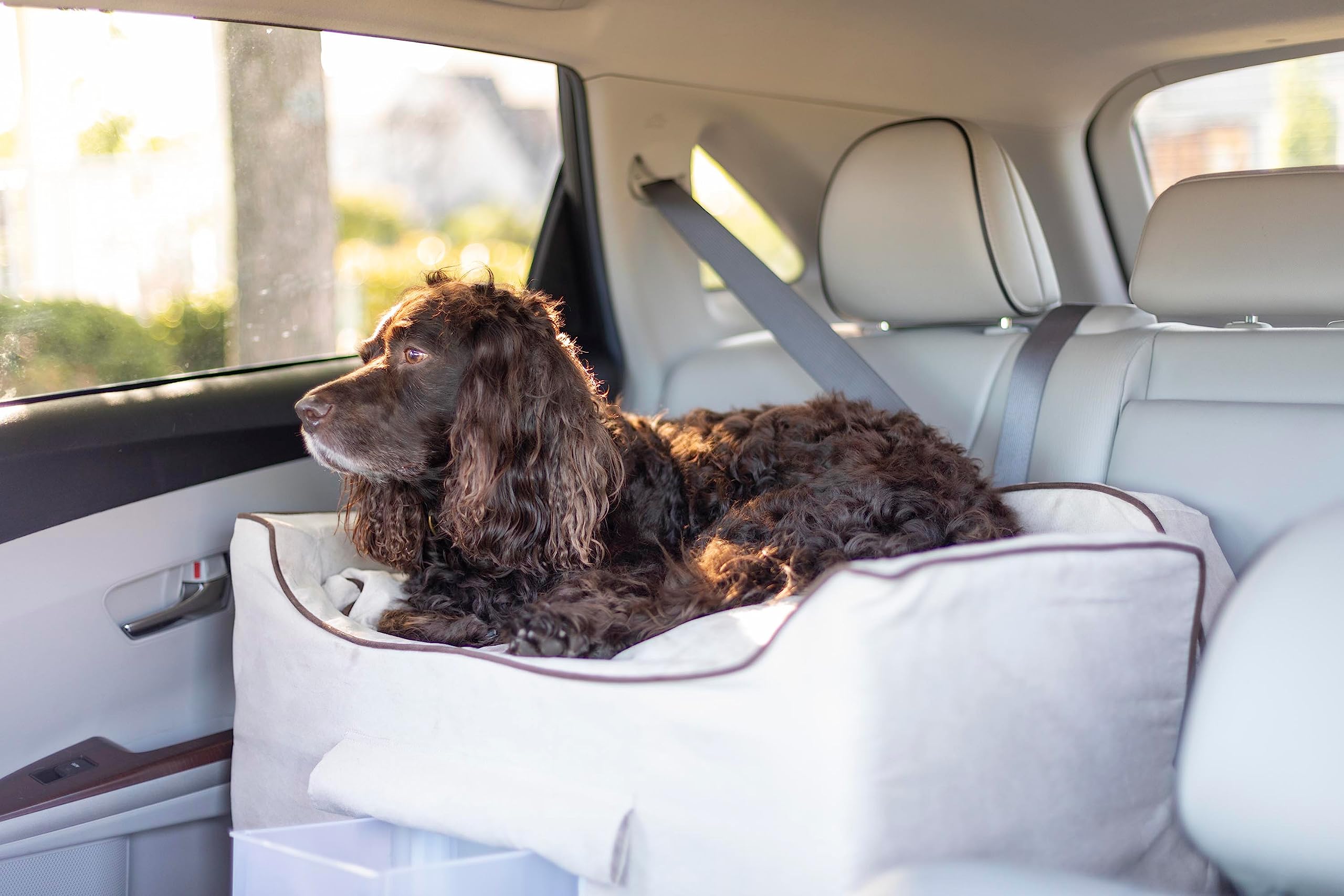Snoozer Dog Car Seat With Storage Tray: Lookout Ii Dog Booster Car Seat Medium Sized Dog, Pet Car Seat To Help Car Sickness For Dogs, Included Harness Strap, Buckskin Removable Washable Cover