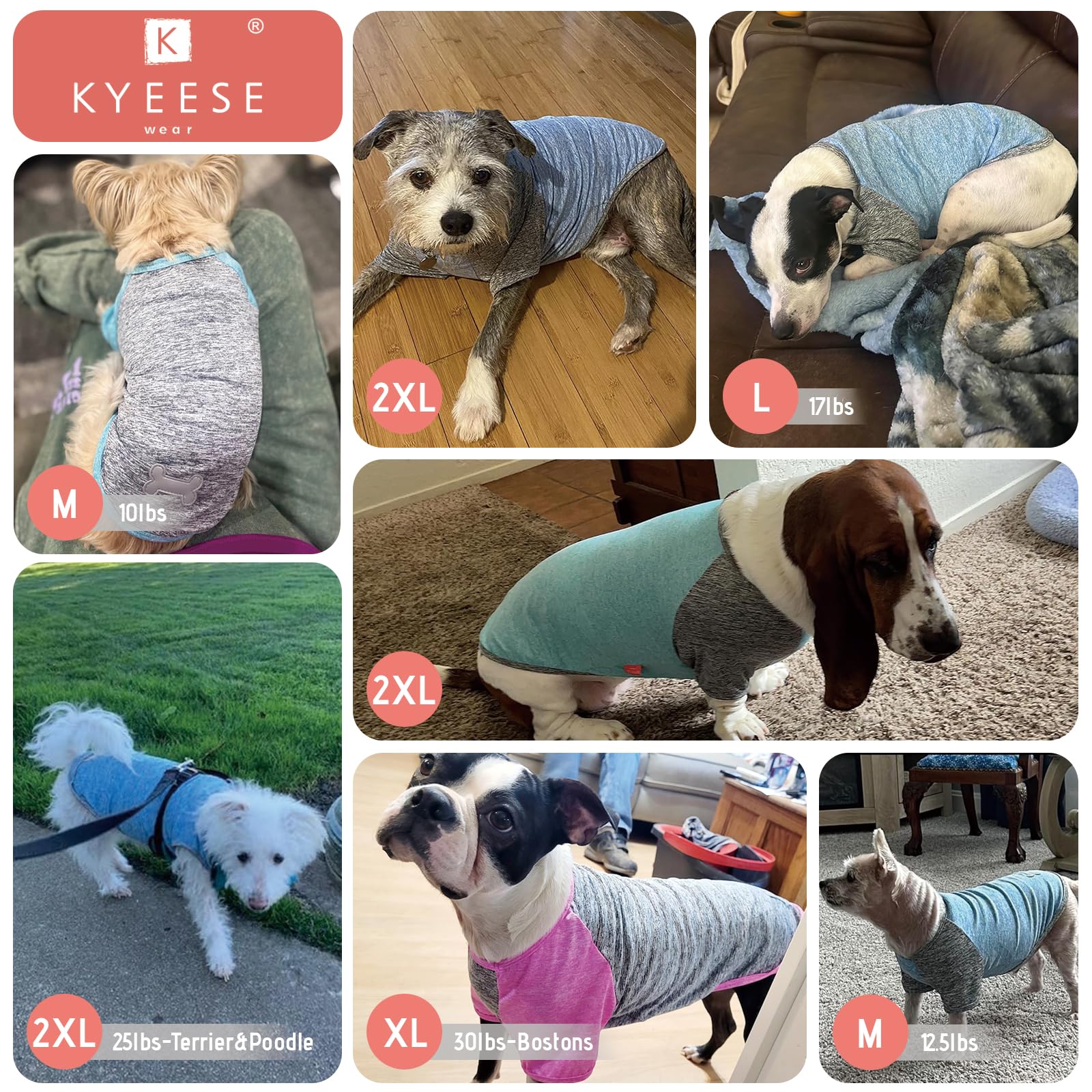 Kyeese 2 Pack Dog Shirts Quick Dry Lightweight Stretchy Dog T-Shirts With Reflective Label Raglan Sleeve Sun Protection Pet Clot