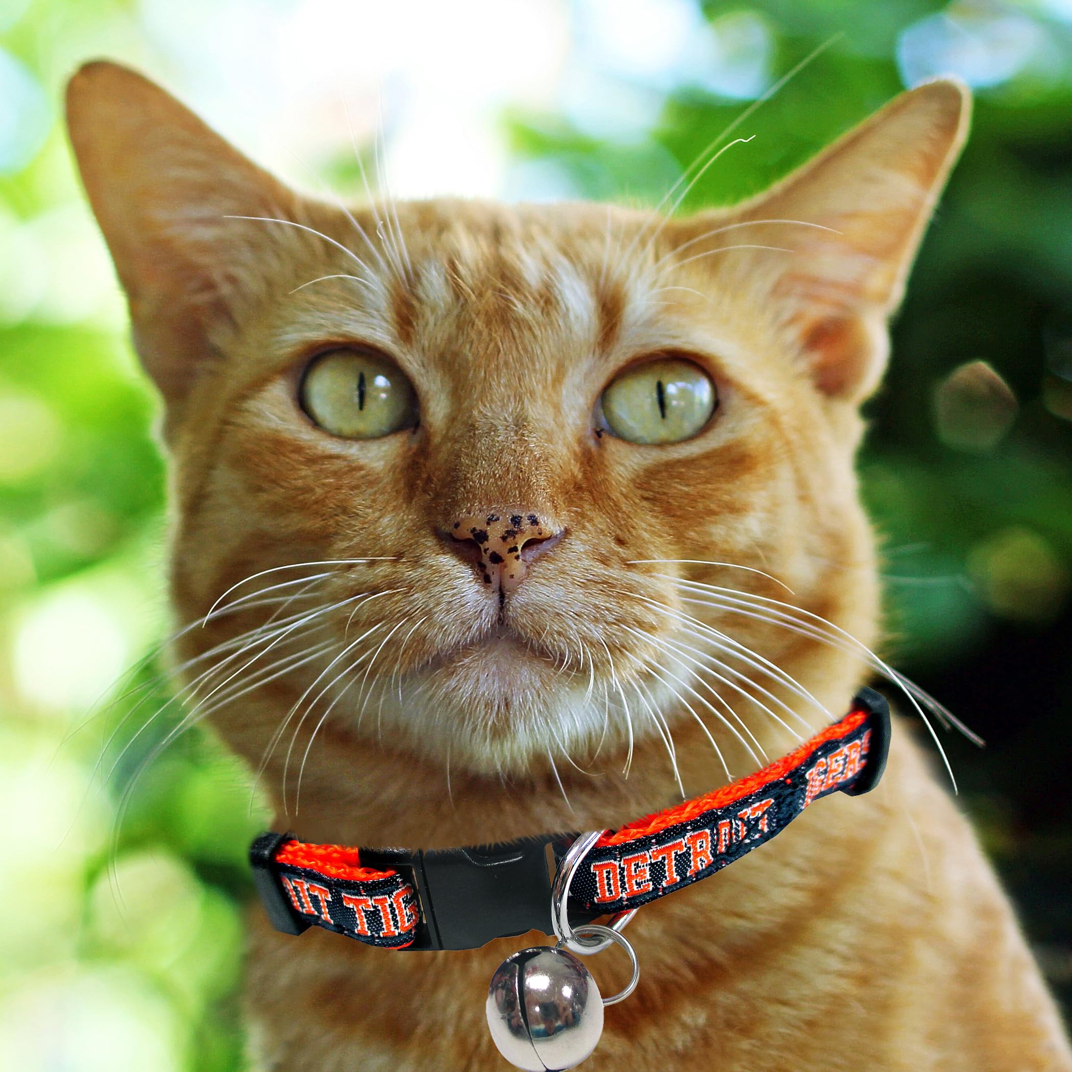 Mlb Cat Collar. - Detroit Tigers Cat Collar. - Strong & Adjustable Baseball Cat Collars With Metal Jingle Bell