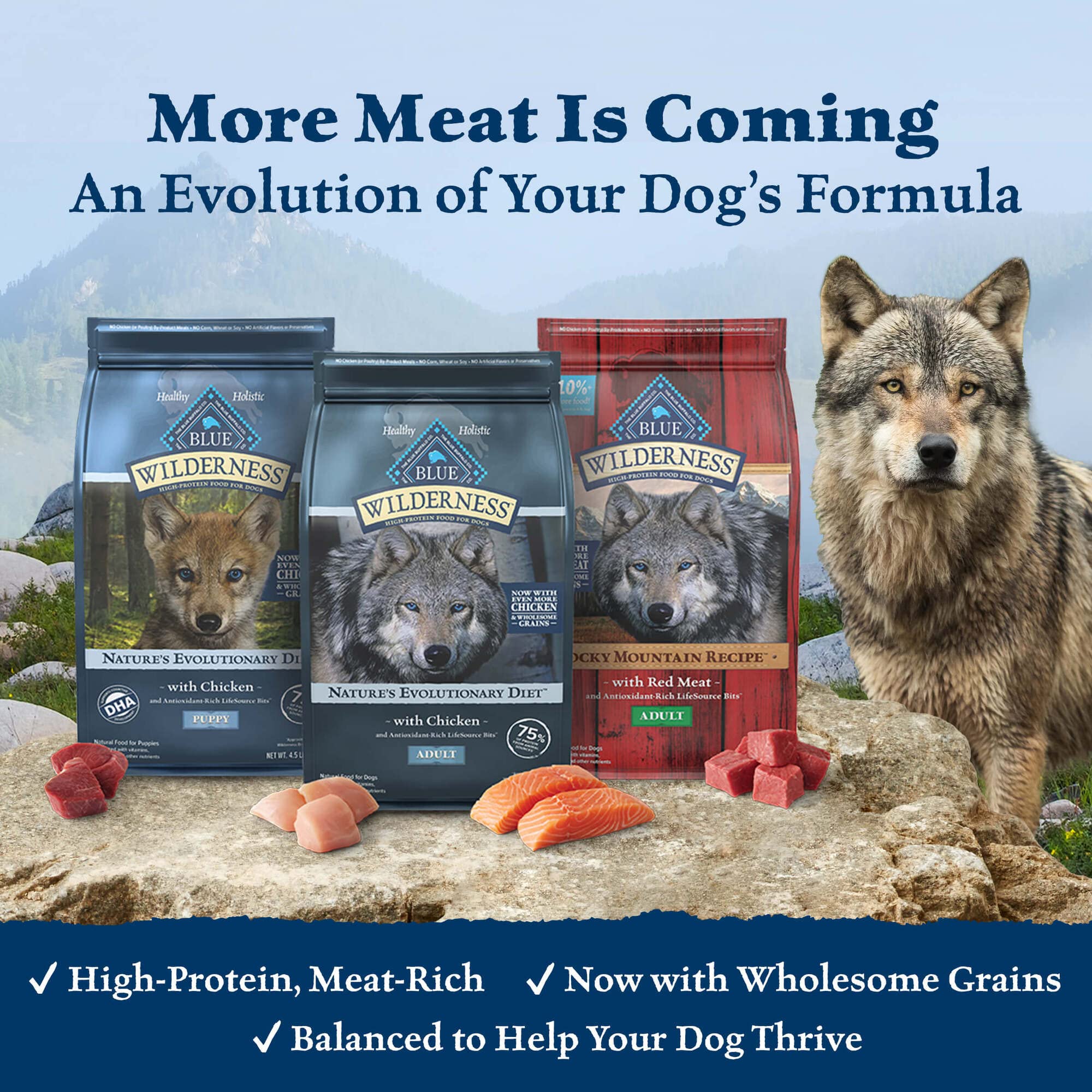 Blue Buffalo Wilderness Rocky Mountain Recipe High Protein Dry Dog Food, 22 lb, Red Meat