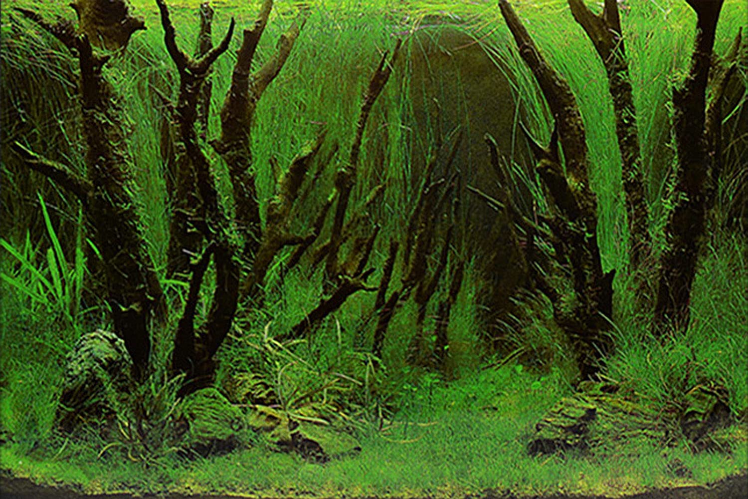 Elebox Fish Tank Stickers Wallpaper Seaweed Background Aquarium Background Decoration Water Plants Fish Tank Background 15.7'X 40'