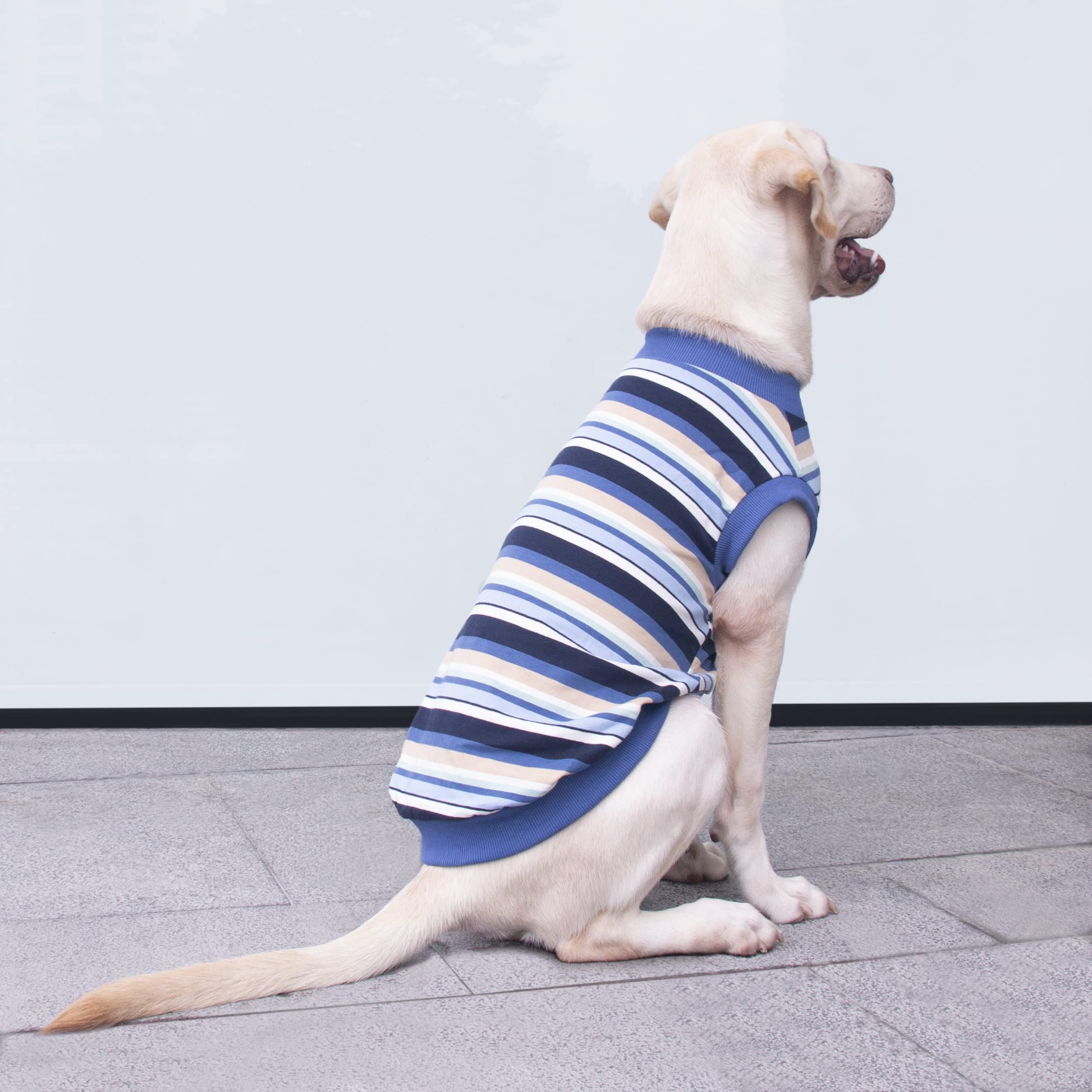 Arunners Extra Large Dog T Shirts Clothes Sleeveless Tank Top Vest For Labrador Rottweiler Great Dane, Blue, 4X-Large