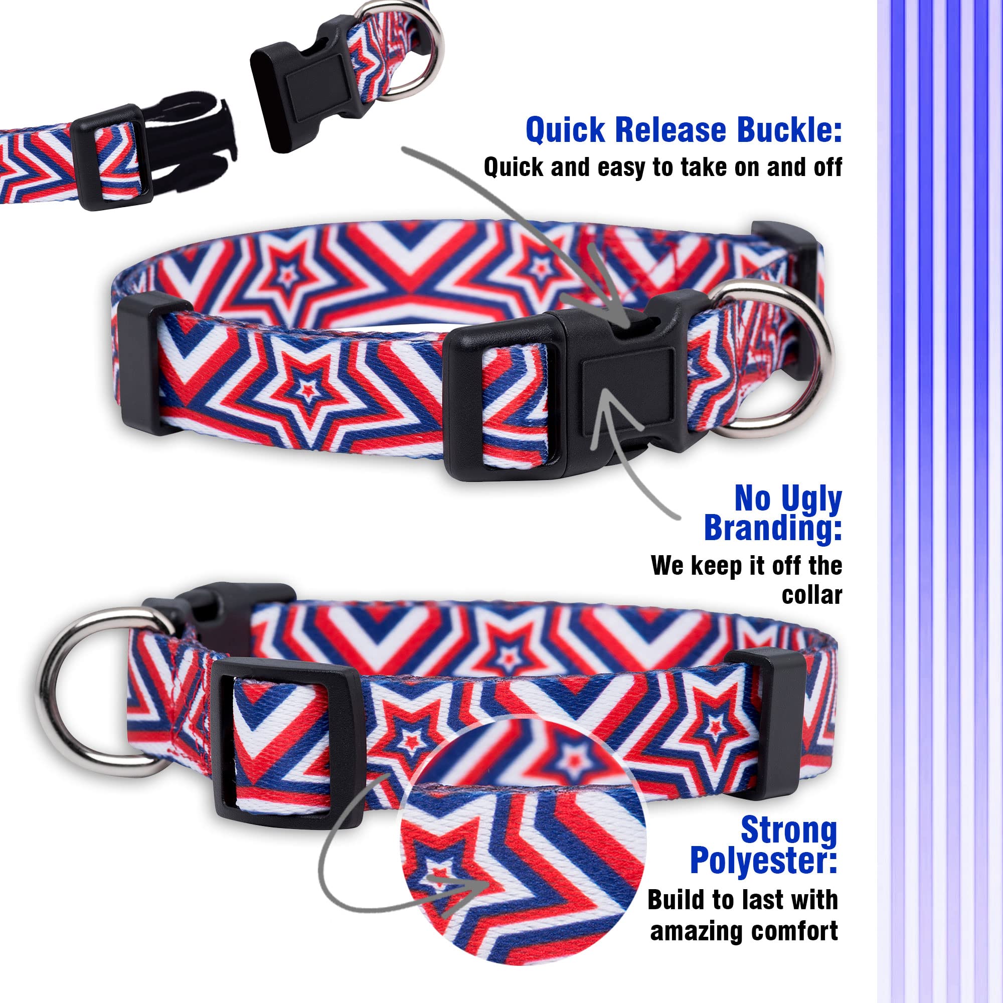 Native Pup Halloween Dog Collar (Small, Spiders)