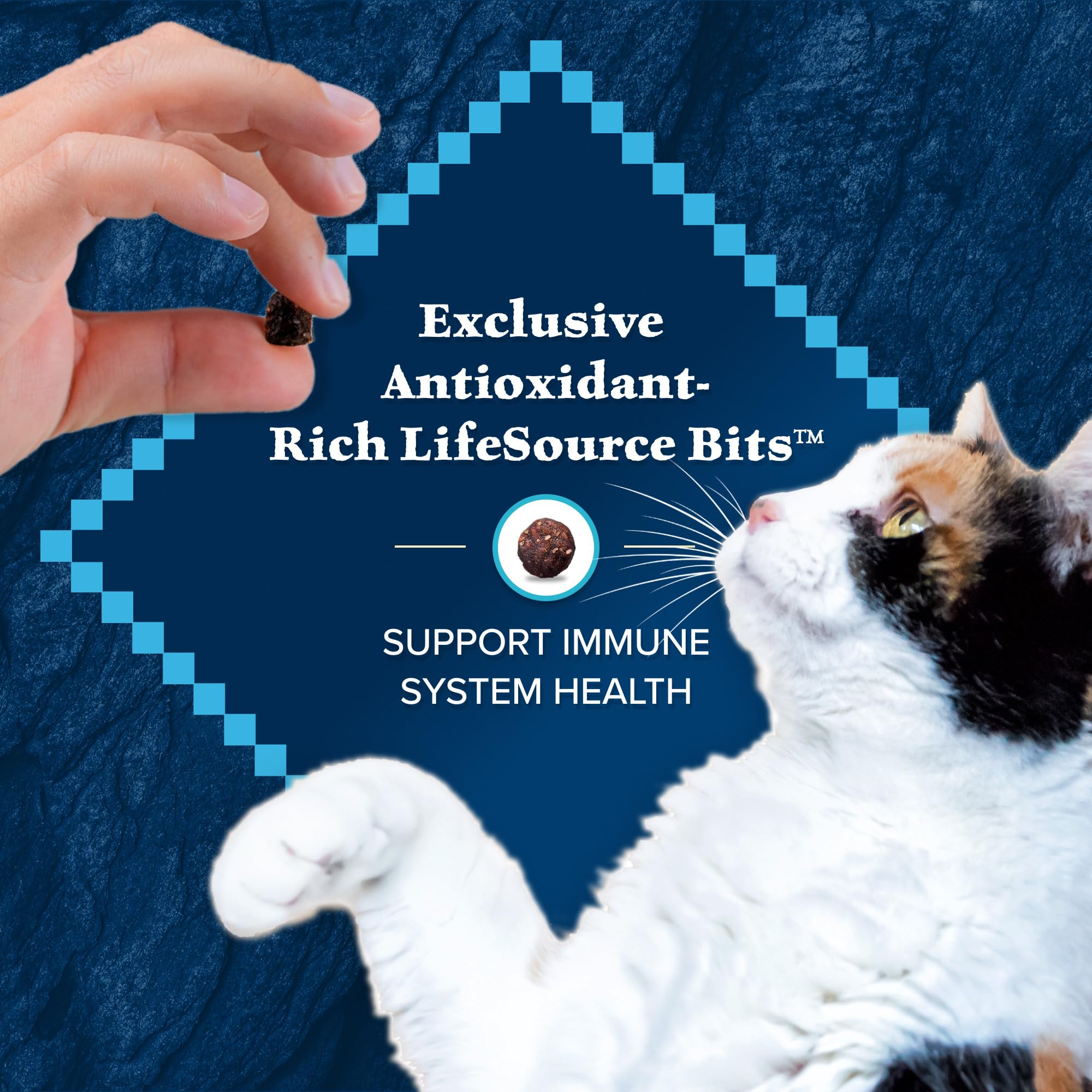 Blue Buffalo Wilderness Duck Supports Health and Wellness High-Protein & Grain-Free Healthy Adult Dry Cat Food 11 lbs.