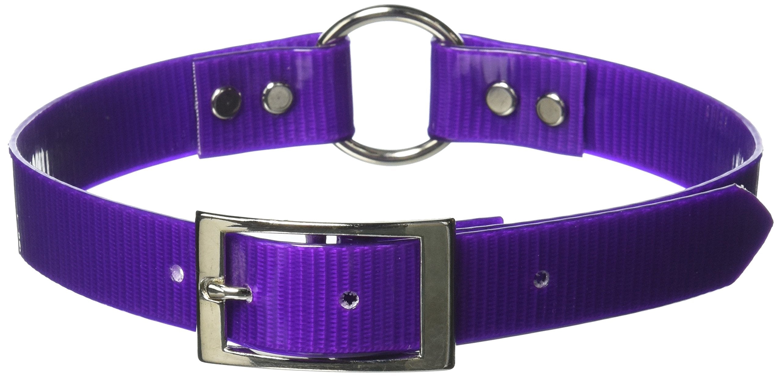 Omnipet Sunglo Ring-In-Center Dog Collar, 1' Wide, Purple, Fits 18.5'- 22' Neck Sizes, Vibrant Colors & Tough Construction Fo