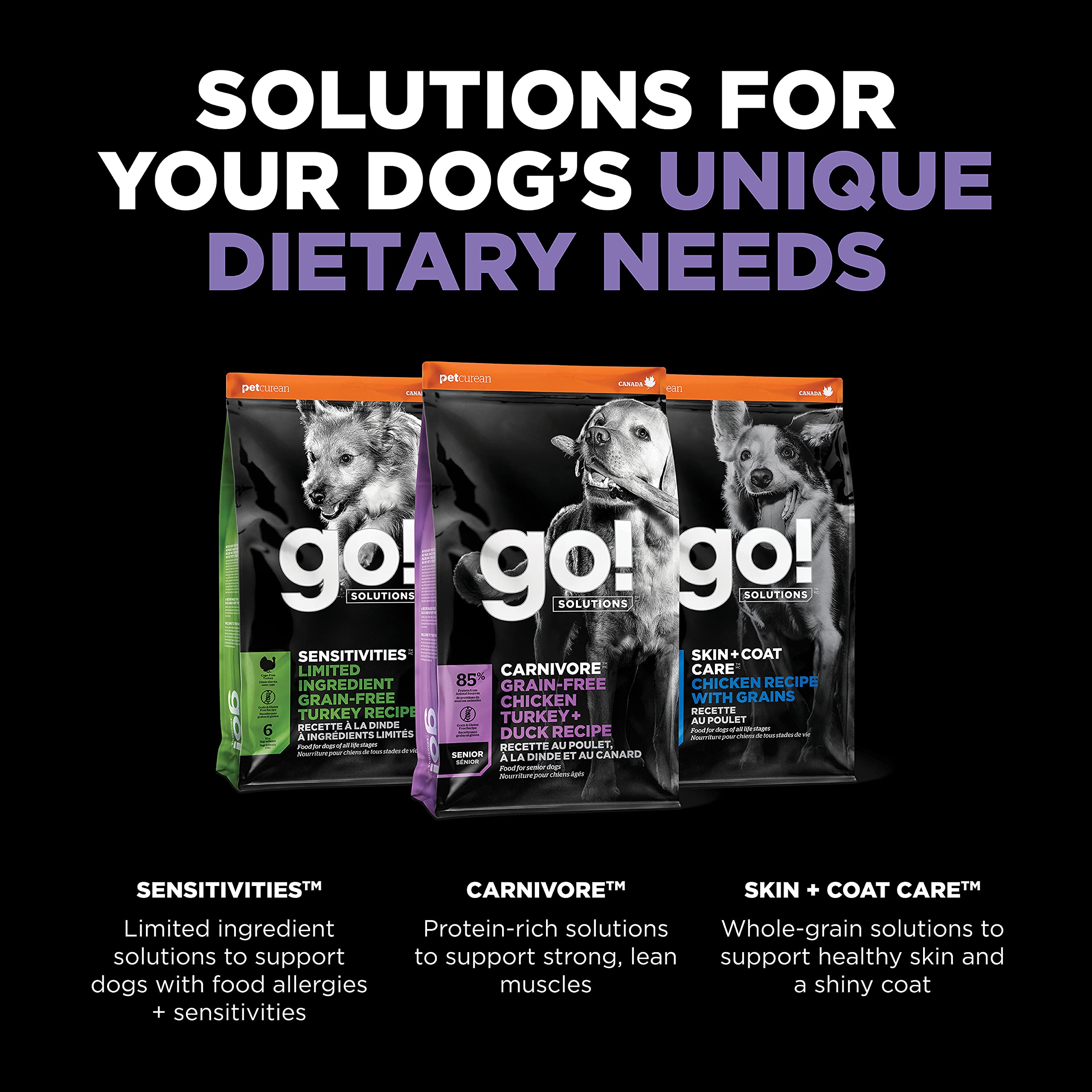 GO! SOLUTIONS Carnivore Grain Free Dog Food for Senior Dogs, 3.5 lb - Chicken, Turkey + Duck Recipe - Protein Rich Dry Dog Food