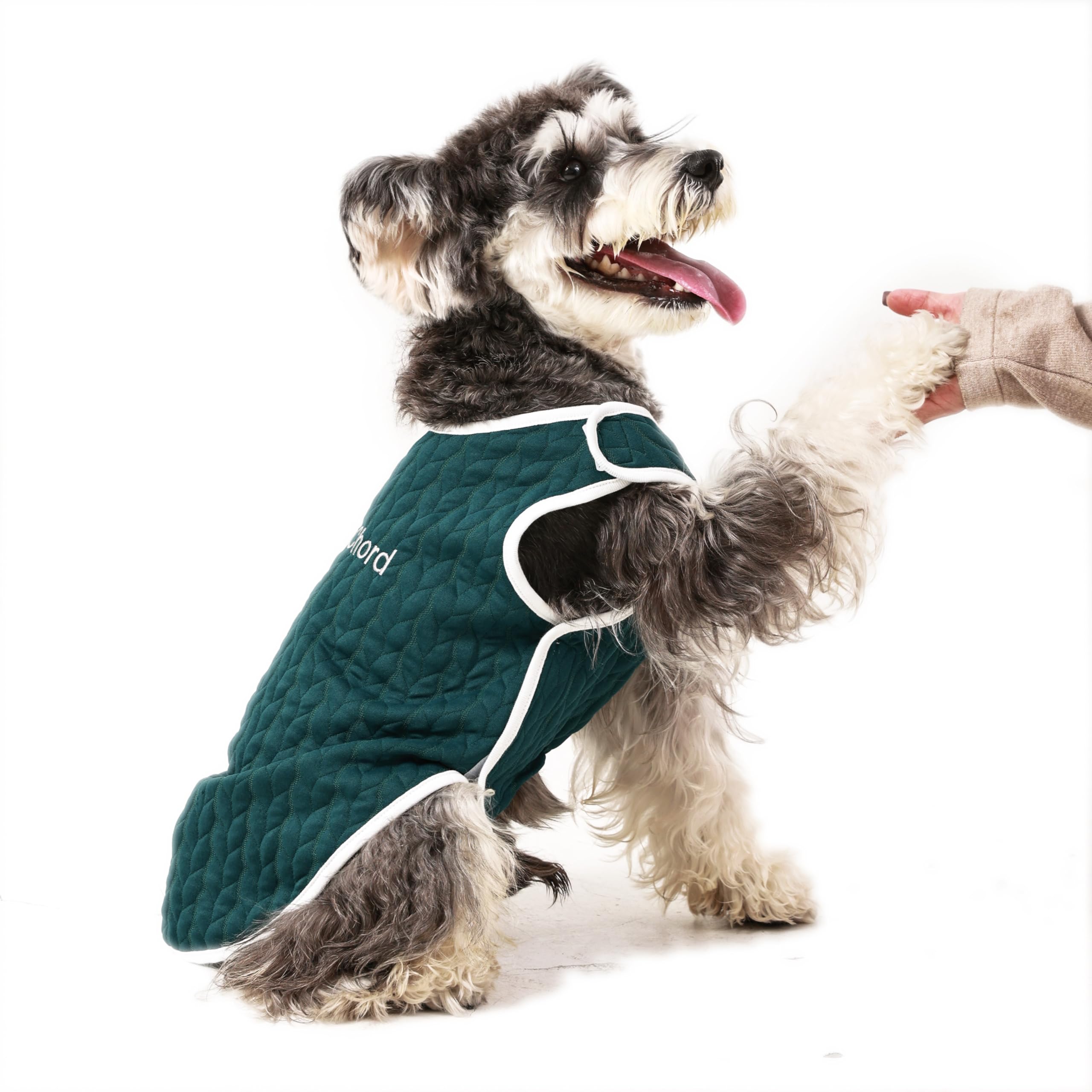 Knewchord Dog Shirts Soft Warm Cat Shirts Pet T-Shirt Puppy Dog Apparel Tee Tanks Easy On And Off (Dark Green, X-Large)