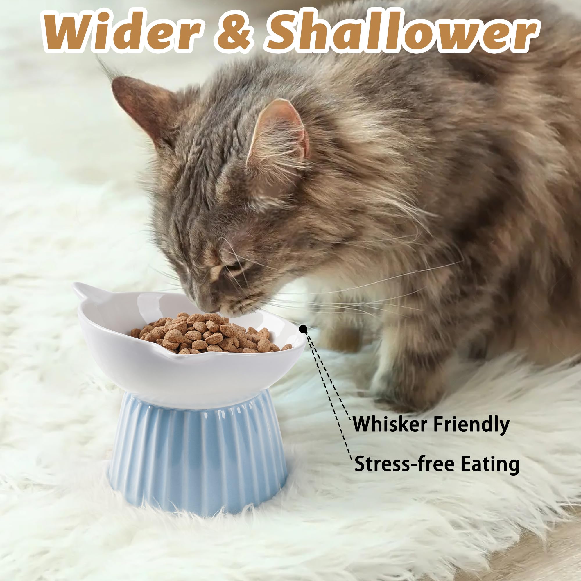 Wellbro Ceramic Raised Cat Bowl,Tilted Raised Cat Bowl Anti Vomit Cat Bowls For Indoor Cats Whisker Friendly Pet Feeder For Cats