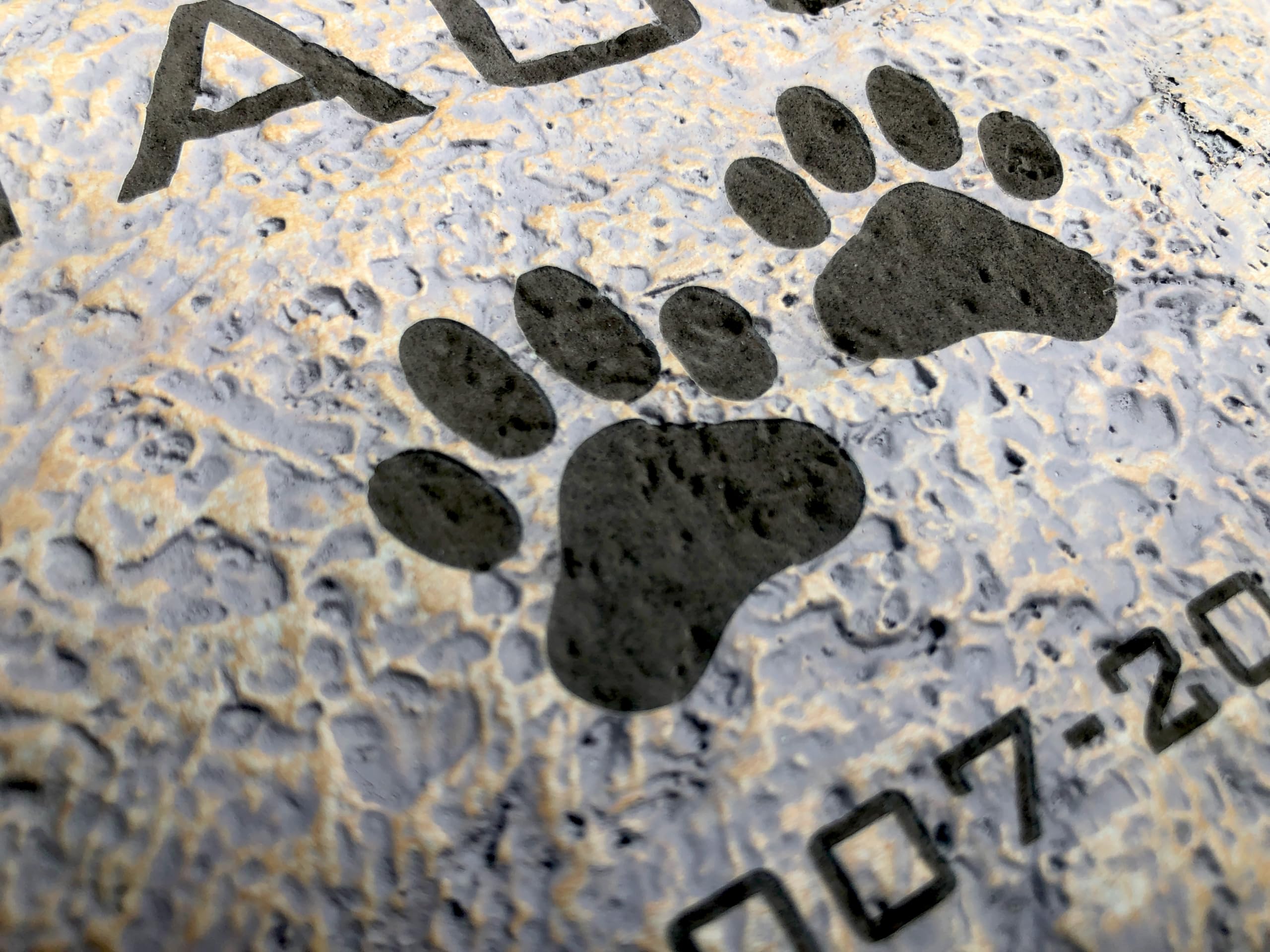 GiftsForYouNow Engraved in Loving Memory Pet Memorial Garden Stone, 11.5 Inch, Pet Loss Gift, Dog Memorial, Temporary Grave Mark