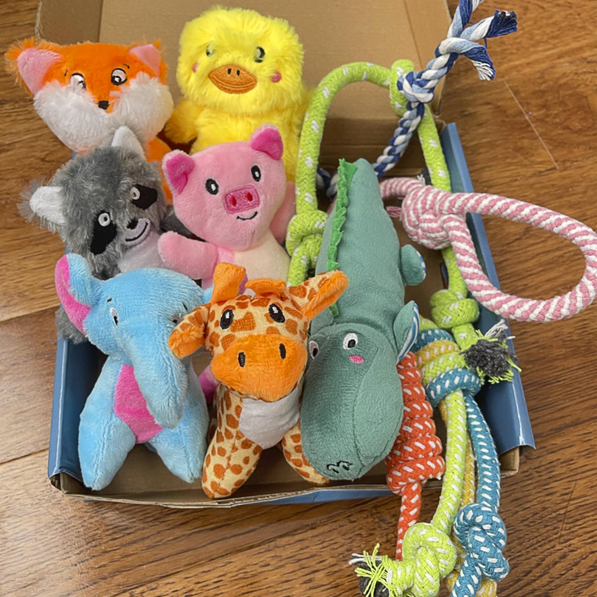 Jalousie Multipack Dog Squeaky Toys Dog Toy Bulk Dog Toy - Dog Toys For Pets Dogs For Small Medium Large Dogs (12 Pack Rope And