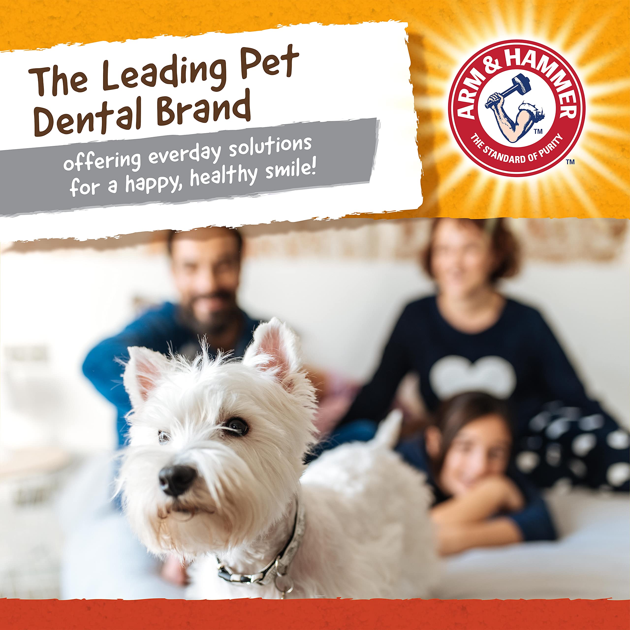 Arm & Hammer For Pets Super Treadz Mini Gorilla Dental Chew Toy For Dogs, 24 Pack | Dog Dental Chew Toys Reduce Plaque & Tartar Buildup Without Brushing | For Dogs Up To 25 Lbs