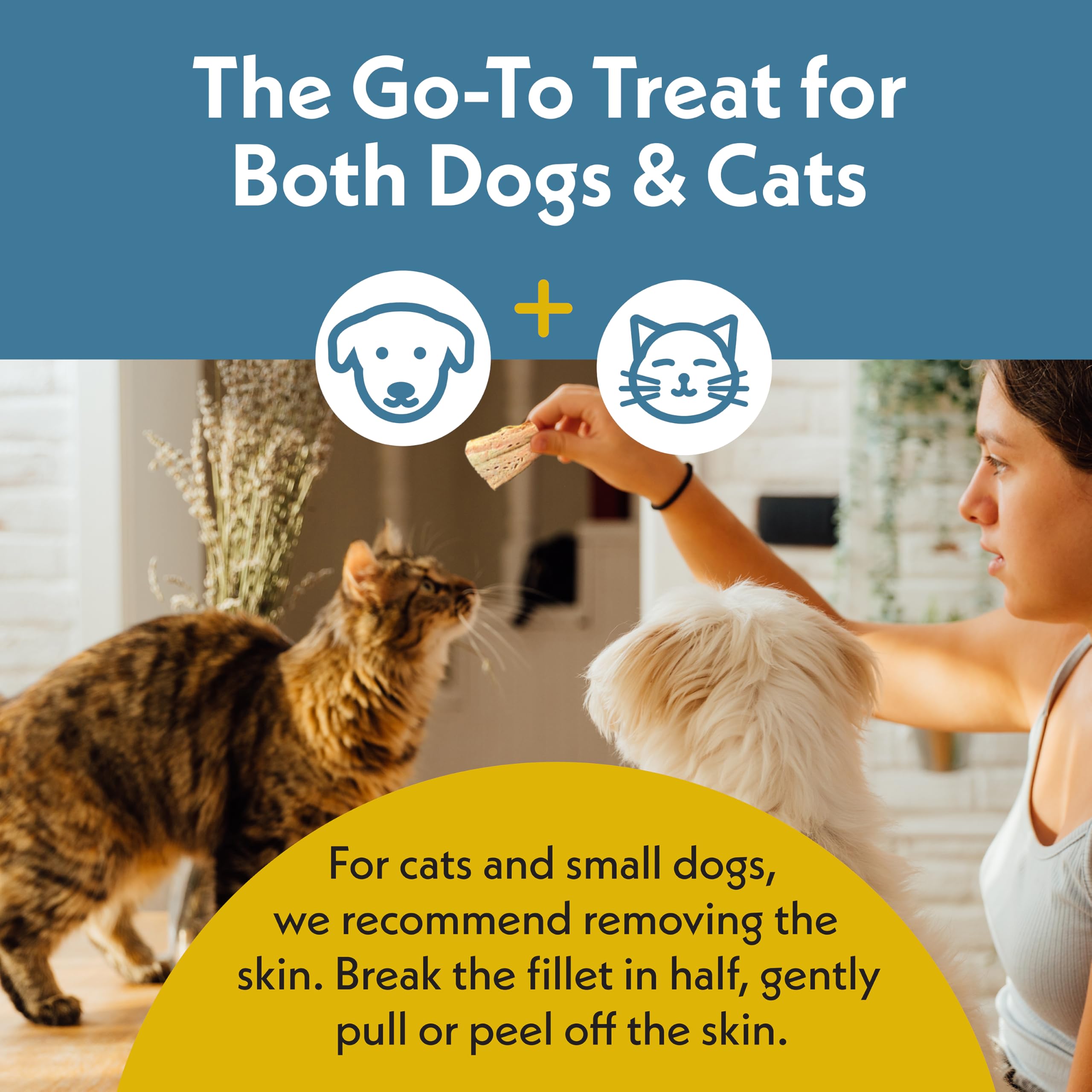 Fresh Is Best - Freeze Dried Healthy Raw Meat Treats for Dogs & Cats - Wild Salmon Fillets