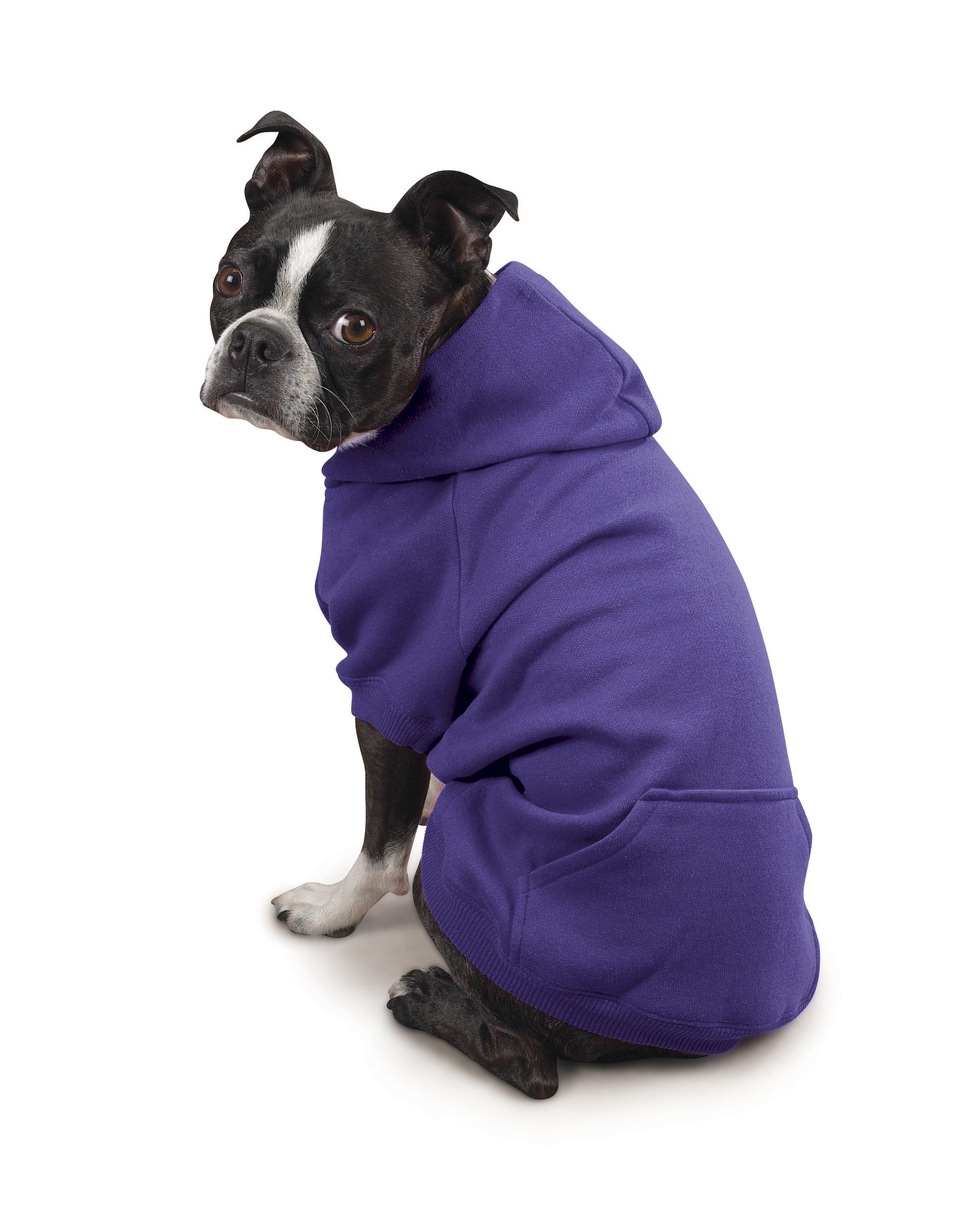 Zack & Zoey Basic Hoodie For Dogs, 8' X-Small, Ultra Violet