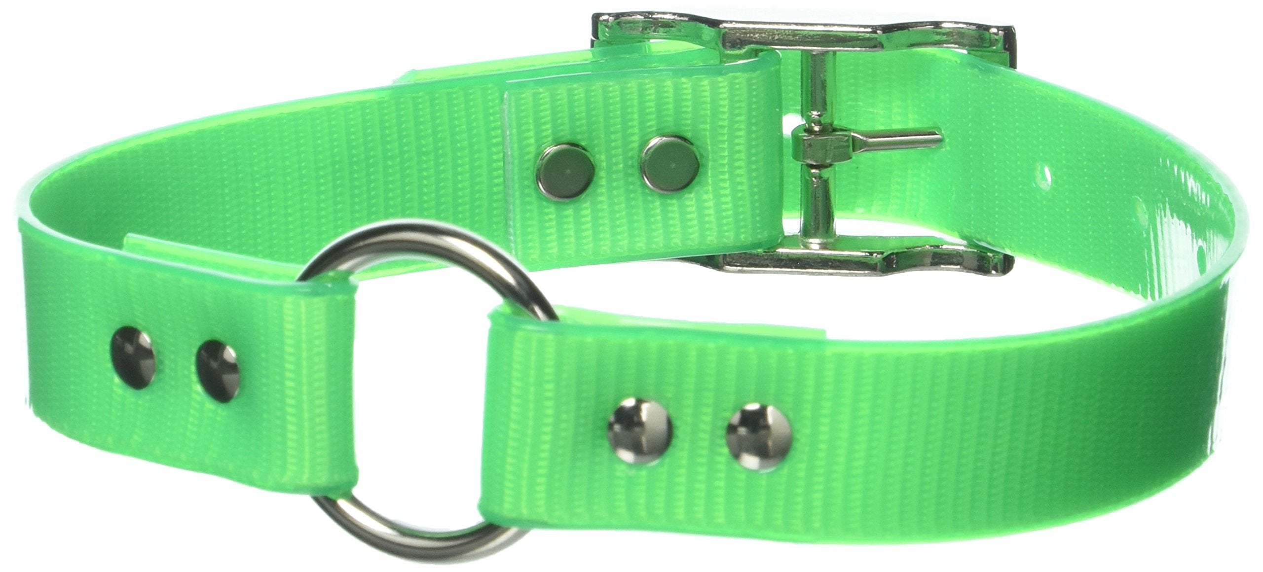 Omnipet Sunglo Ring-In-Center Dog Collar, 1' Wide, Neon Green, Fits 14.5'- 18' Neck Sizes, Vibrant Colors & Tough Constructio
