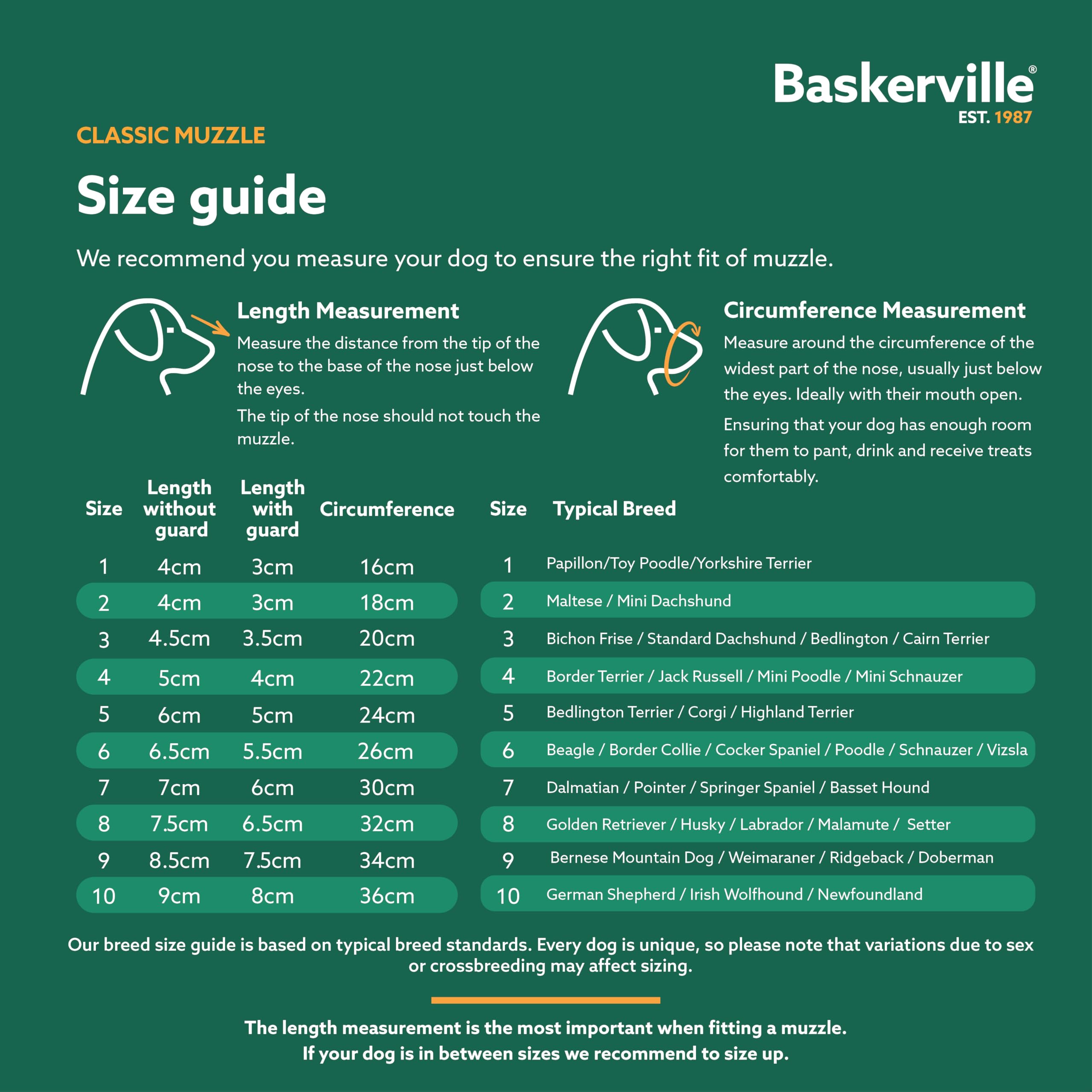 Baskerville Classic Basket Muzzle - Dog can Pant and Drink, Prevents Biting and Food Waste Scavenging, Strong TPR, Breathable Do