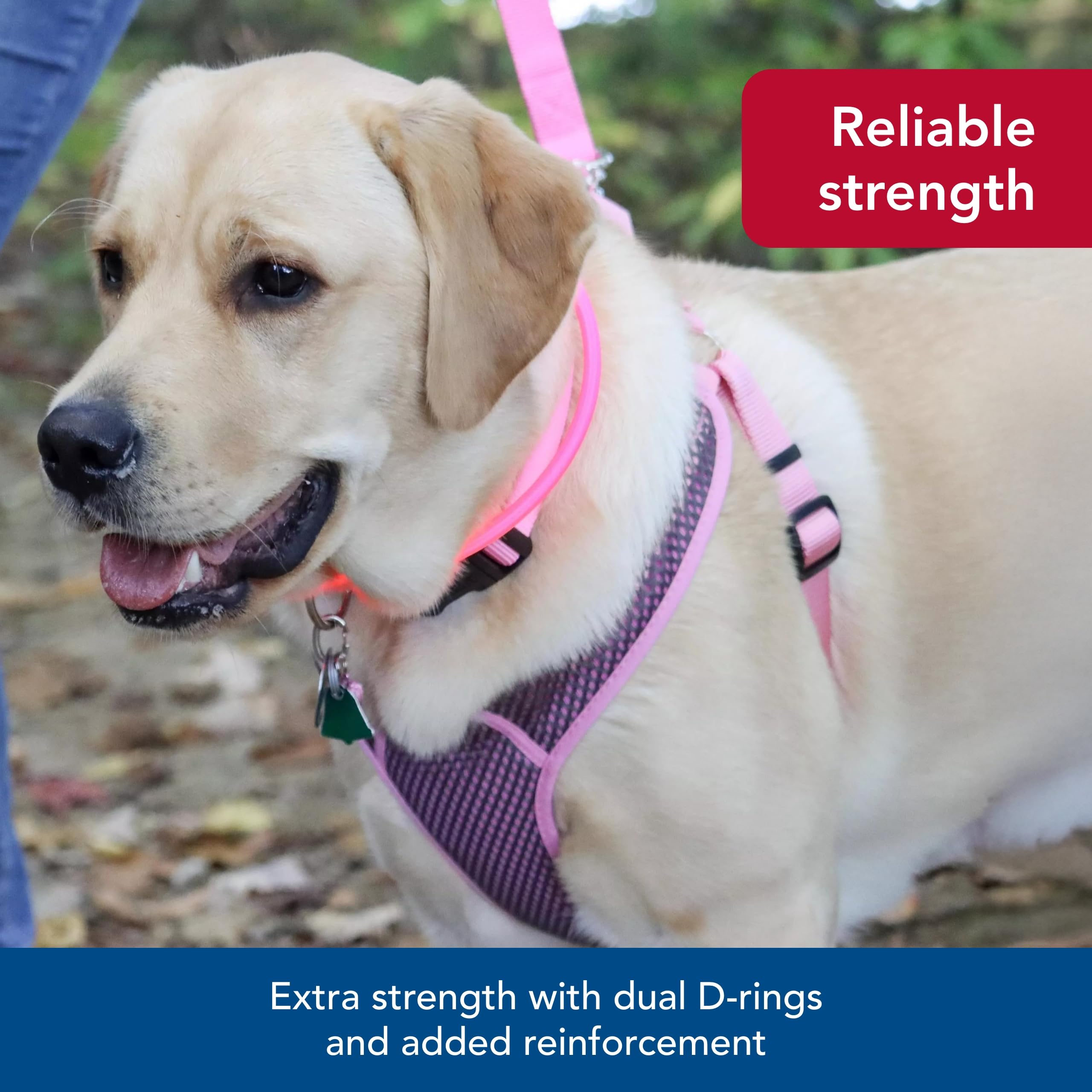 Coastal Pet Comfort Soft Sport Wrap Adjustable Dog Harness - Large & Small Dog Harness - Durable Harness For Dogs With Mesh Chest Pad - Grey With Red, 3/8' X 14-16'