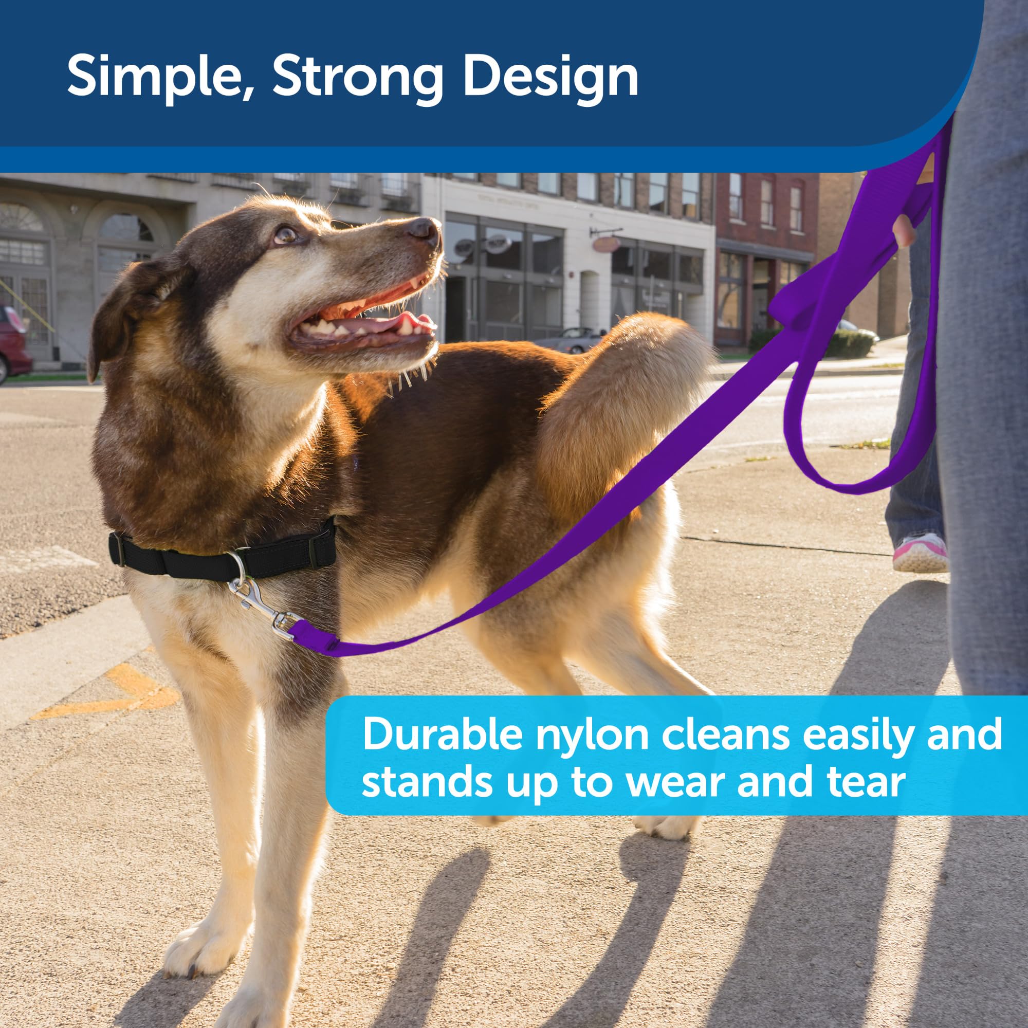 Petsafe Nylon Dog Leash - Strong, Durable, Traditional Style Leash With Easy To Use Bolt Snap - 1' X 6', Deep Purple