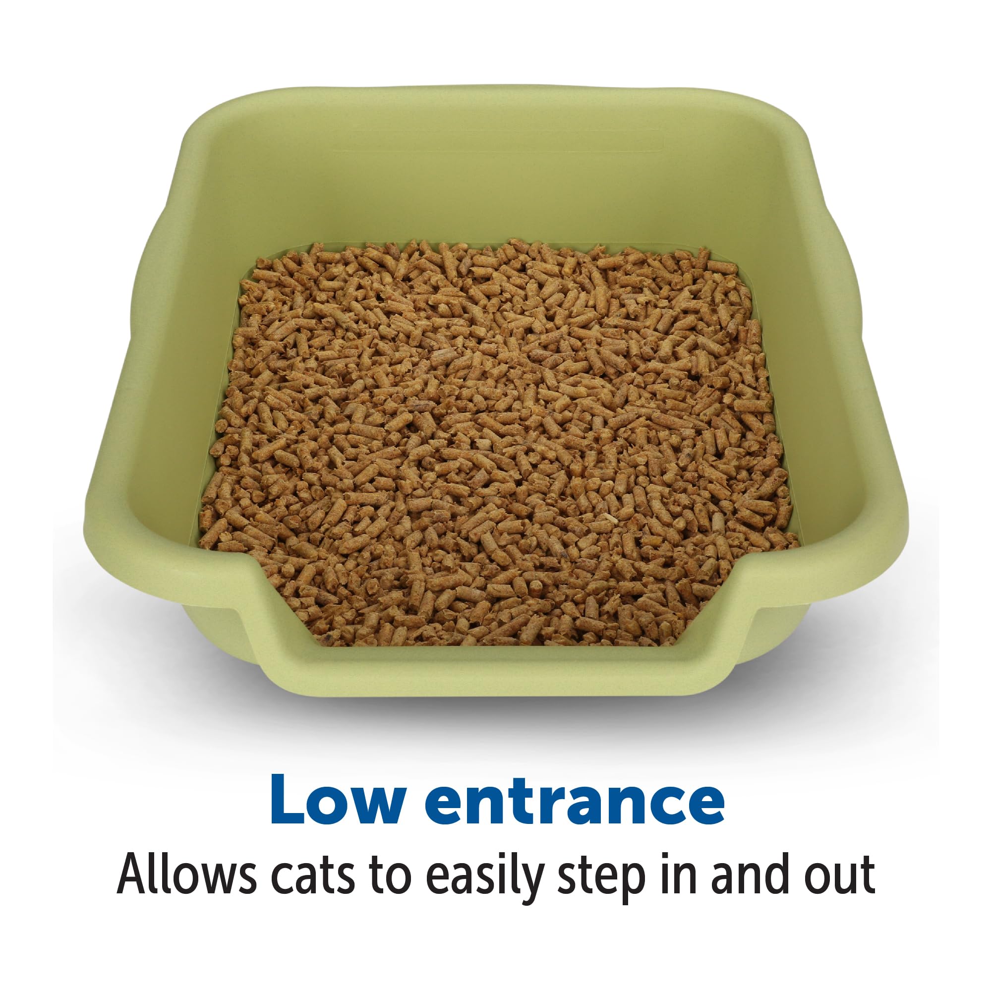 Kittygohere Senior Cat Litter Box 1 Pack, Small Green Low Entrance Kitty Litter Box, Sized For Cats Comfort, Perfect For Senior
