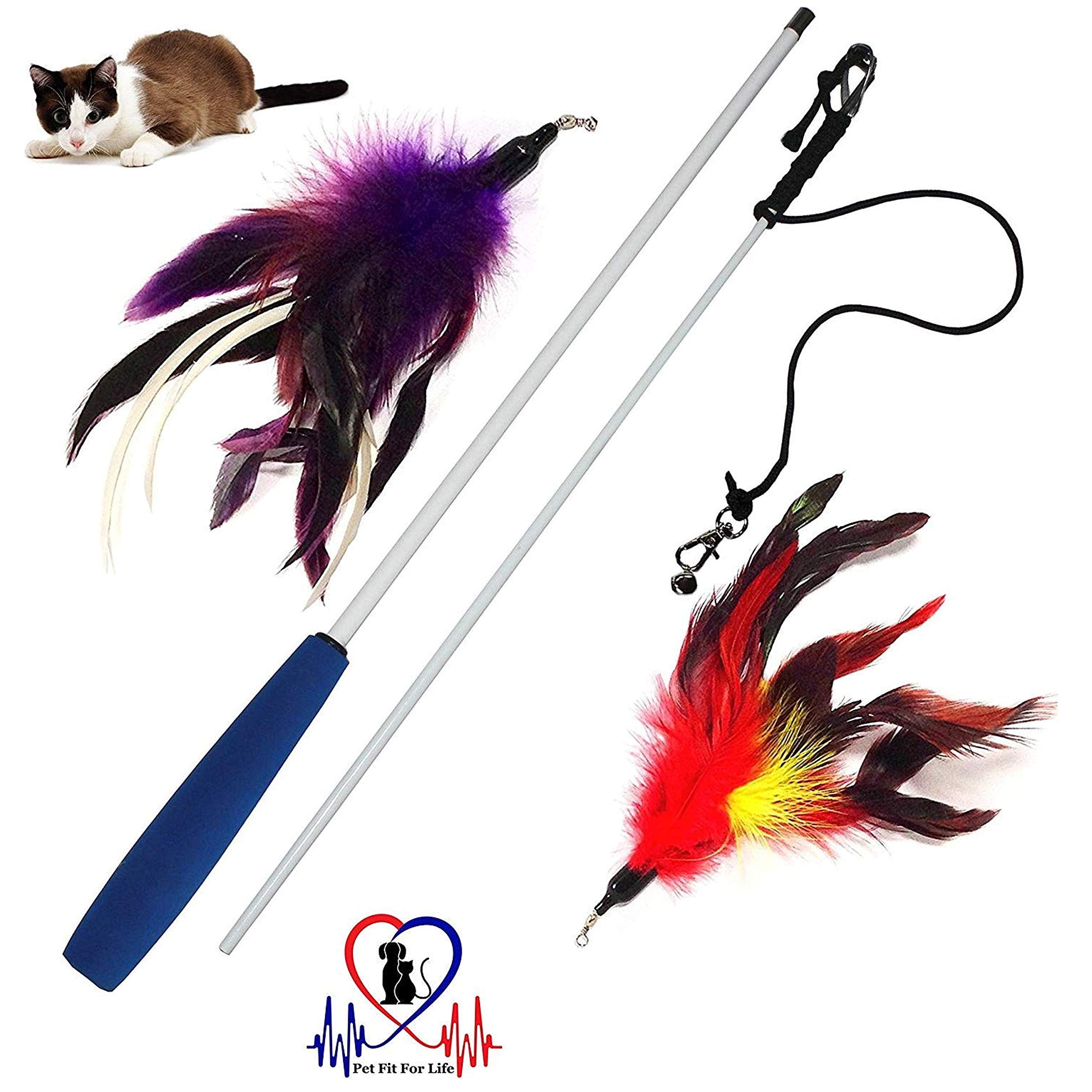 Pet Fit For Life Cat Wand Toy - Irresistible Cat Flirt Pole - Ultimate Feather Teaser For Indoor Cats - Safe & Durable For Interactive Play