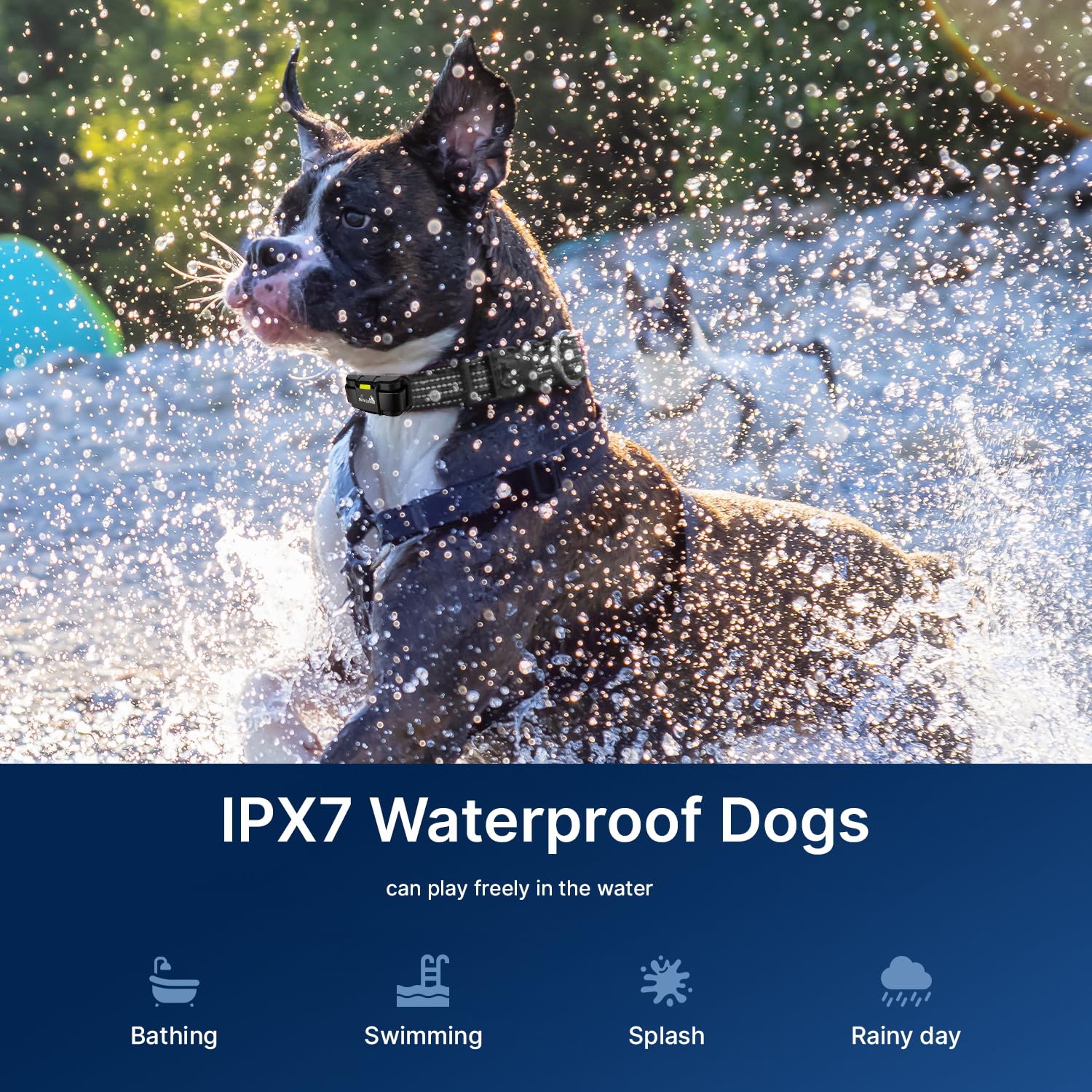 My Pet Command Long Range Dog Training Collar With Remote 1 Mile/5280 Ft Safe Shock, Vibrate, Tone Collar With Flashing Beacon L