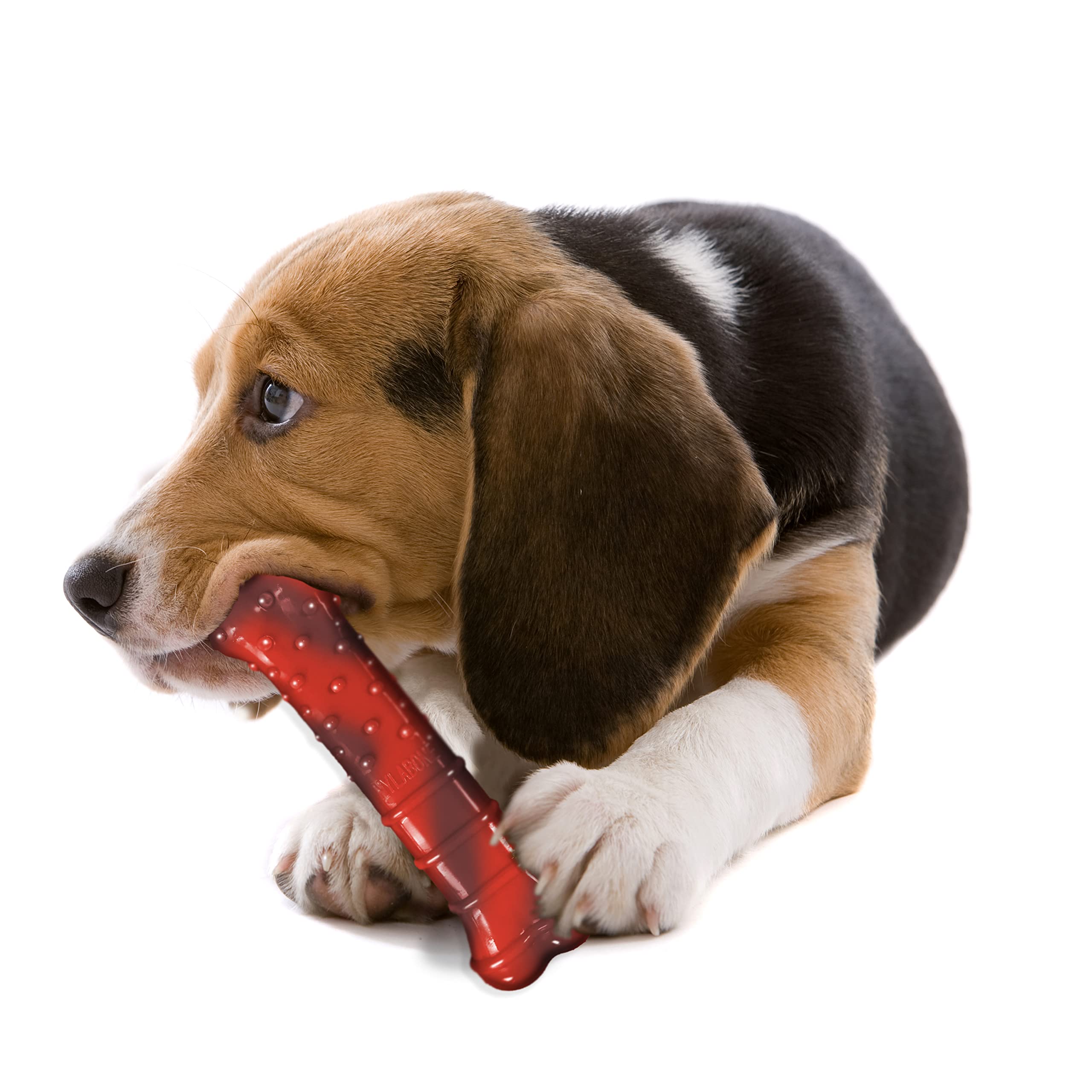 Nylabone Tfh Publications- Nbj103P Power Chew Textured Bone - Wolf