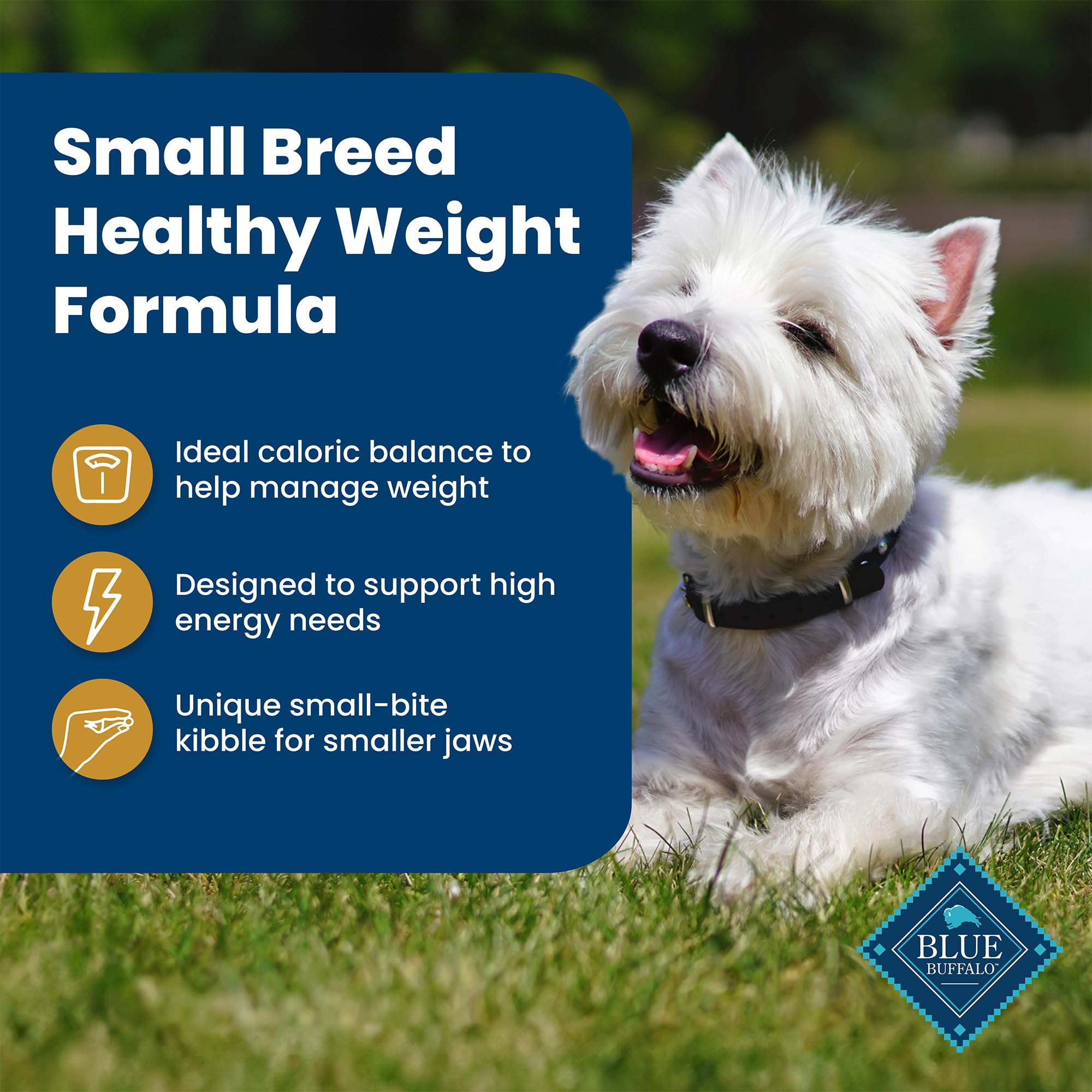 Blue Buffalo Life Protection Formula Healthy Weight Natural Small Breed Dry Dog Food, Supports an Ideal Weight, Made with Natura