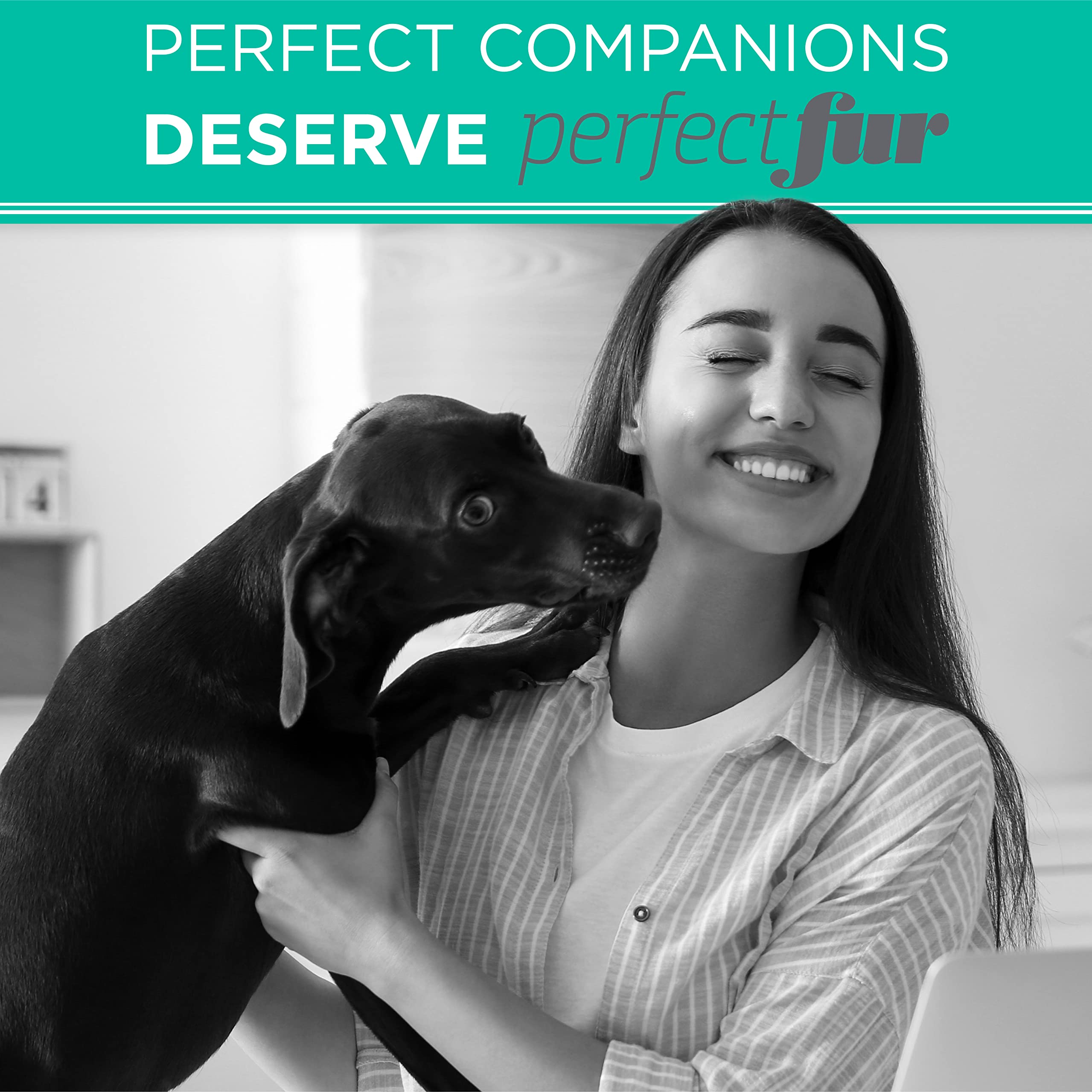 Tropiclean Perfect Fur Dog Shampoo For Shedding Control & Restoring Shine For All Breeds With A Smooth Coat | 16 Oz