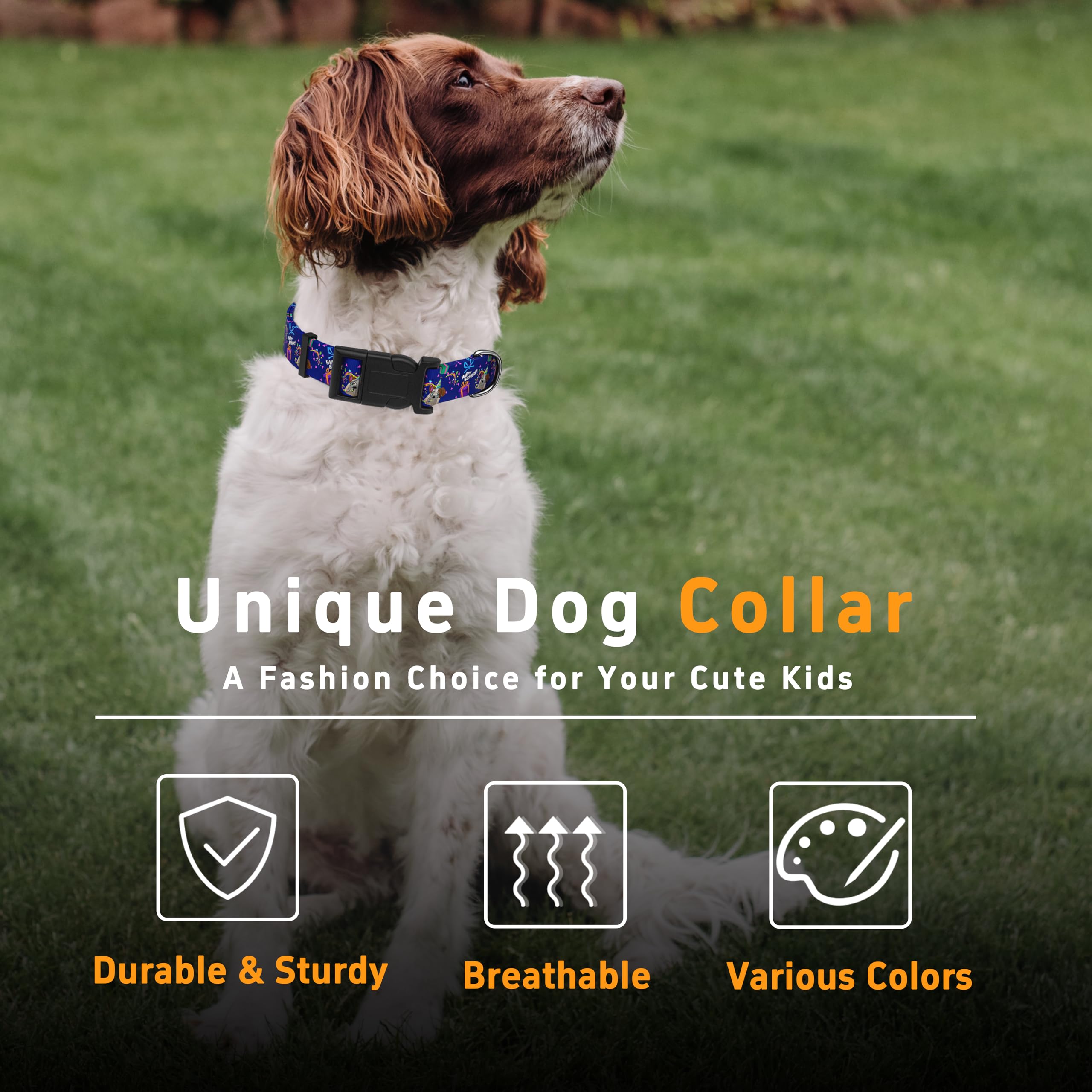 Seyezo Dog Collar, Classical Birthday Gift Boys Girls Puppy Collar For Small Medium Large Dogs, Adjustable Soft Pet Collar With