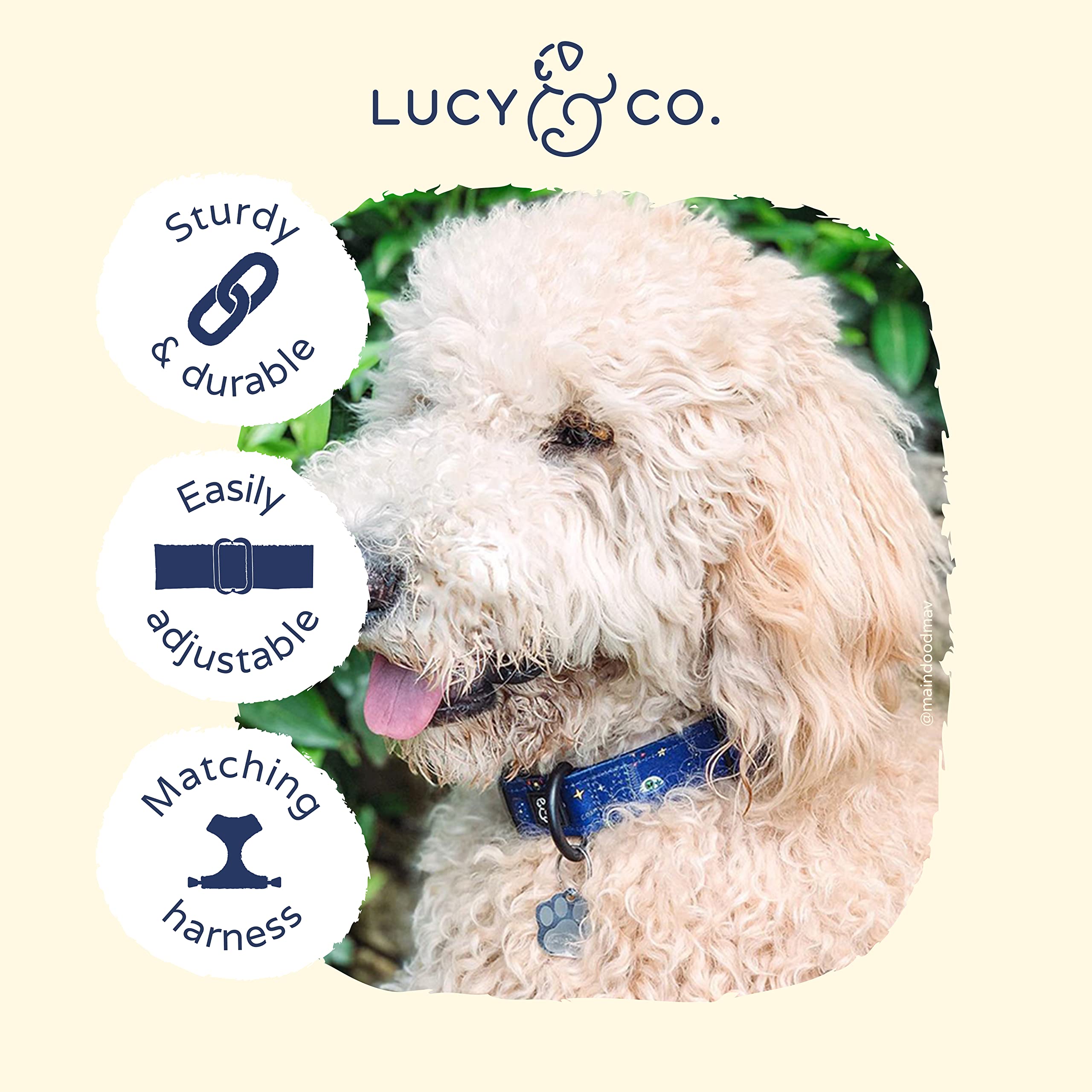 Lucy & Co. Space Doodle Dog Collar - Durable Lightweight Designer Collar For Pets - Adjustable Metal Safety Buckle - Navy Outers