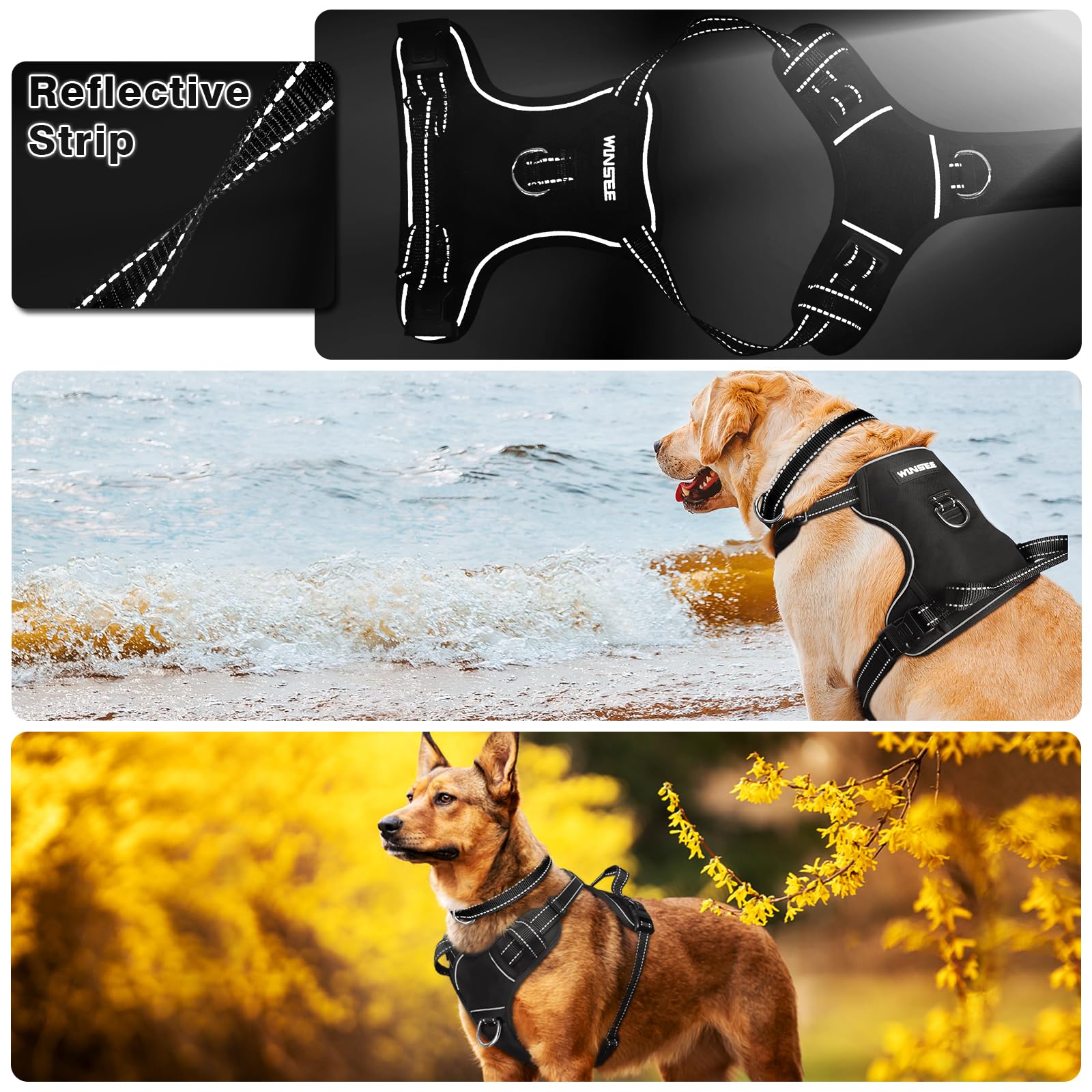 Winsee Dog/Pet Harnesses No Pull With Dog Collar, Adjustable Reflective Oxford Outdoor Vest, Front/Back Leash Clips For Small, M