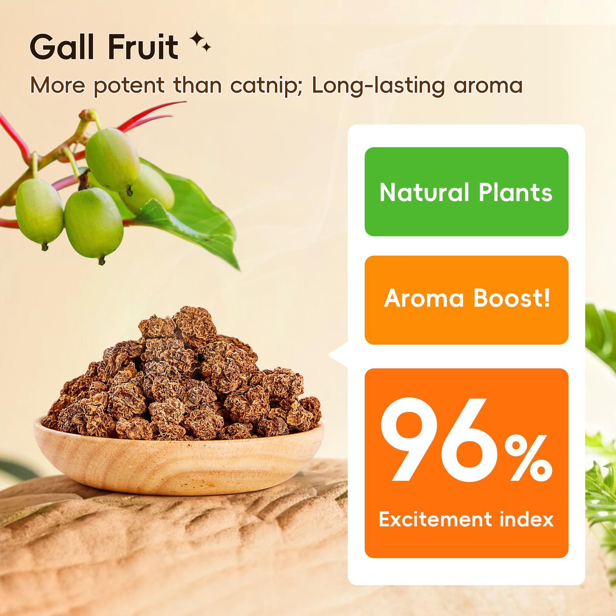 Potaroma Natural Catnip Silvervine Gall Fruit Cat Toys Set With Plush Shell, Organic Kitten Toys For Relaxing And Teething, Inte