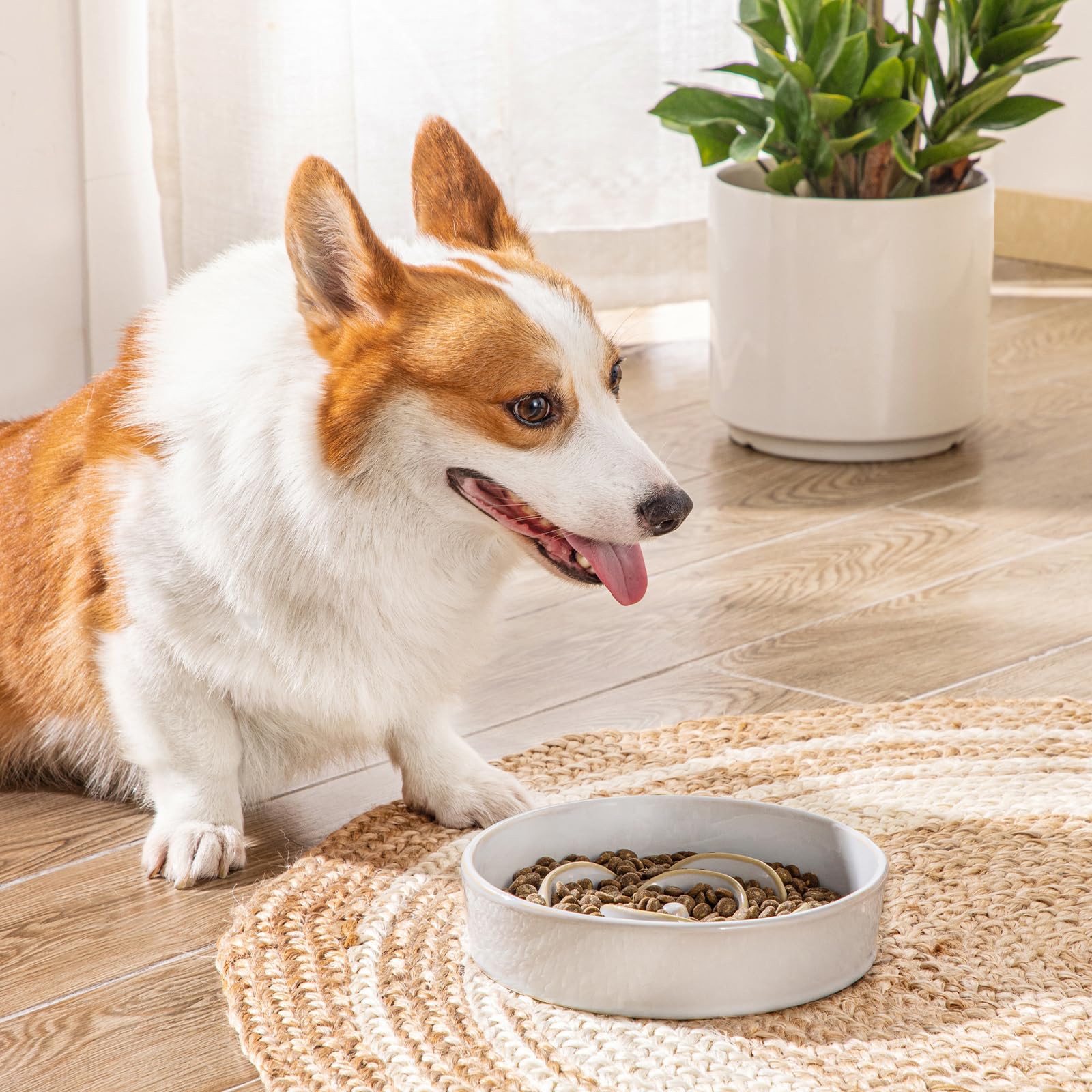 vancasso Slow Feeder Dog Bowl, 1.5 Cups Ceramic Slow Feeder for Medium Breed, Puzzle Maze Dog Food Bowl for Fast Eater, Light Gr