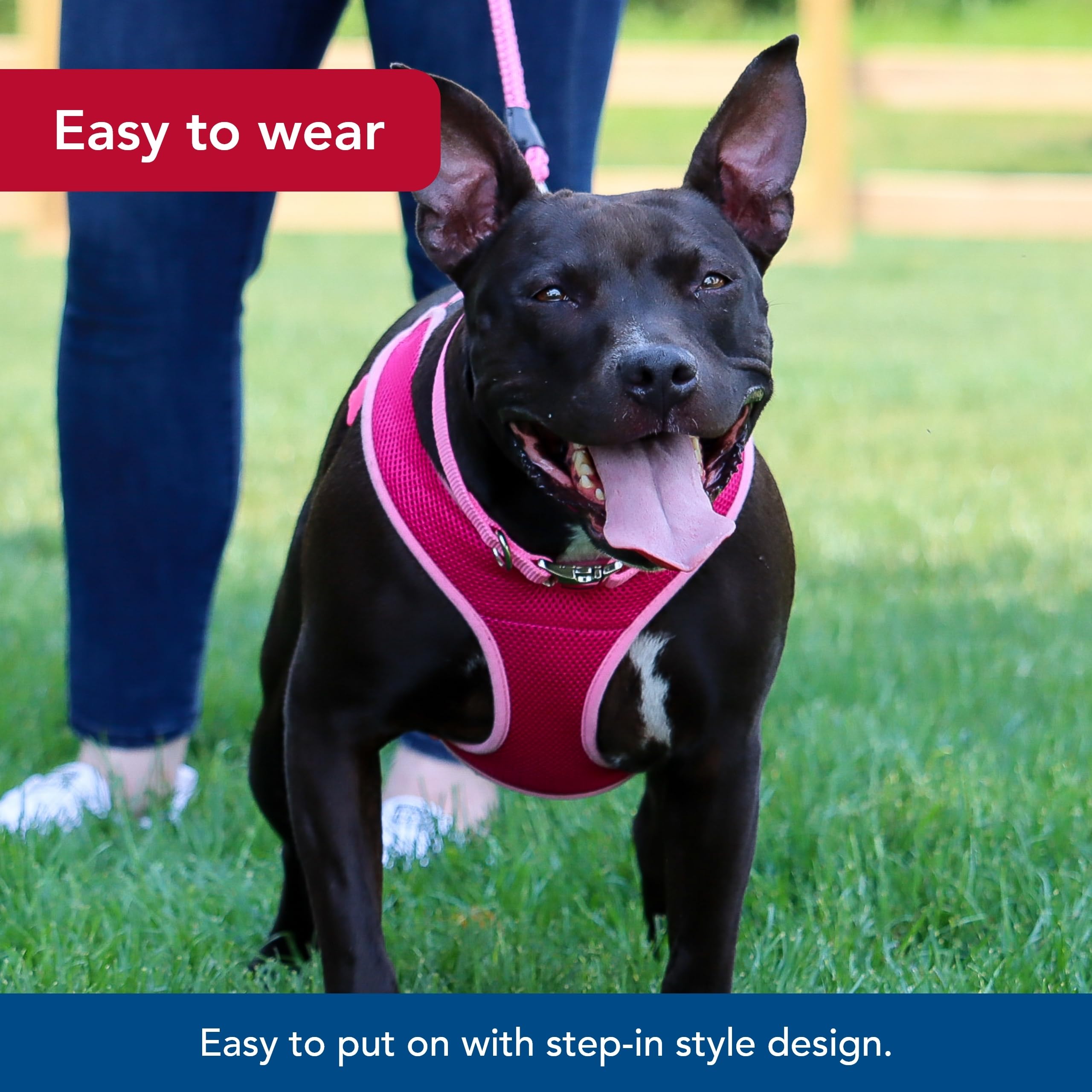 Coastal Pet Comfort Soft Wrap Adjustable Dog Harness - Comfortable Harness For Dog - Adjustable Fit - Easy Step-In Design - Breathable Fabric Mesh - Orchid, 5/8' X 16'-19'
